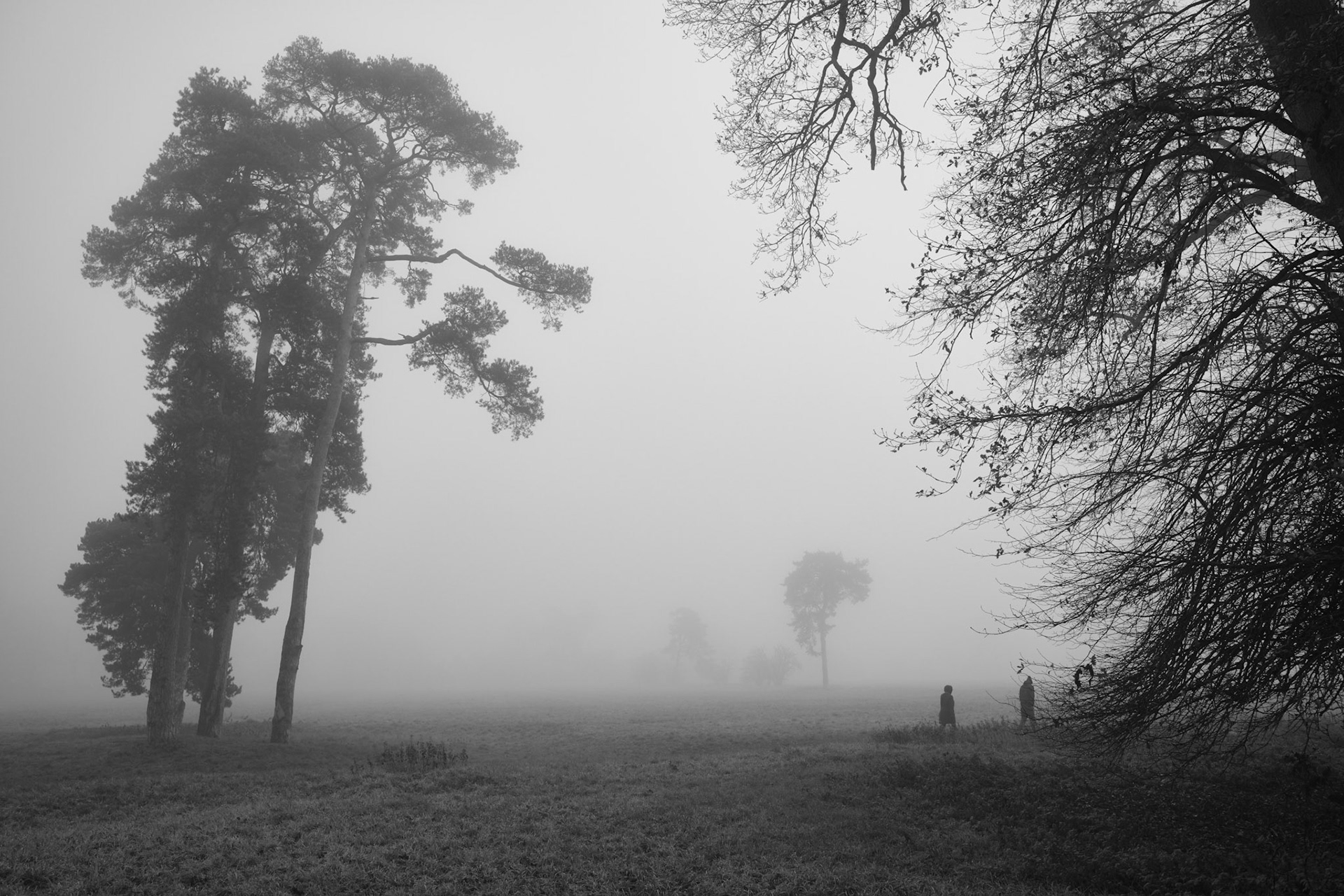 Towcester Watermeadows in Winter, Dec 2020