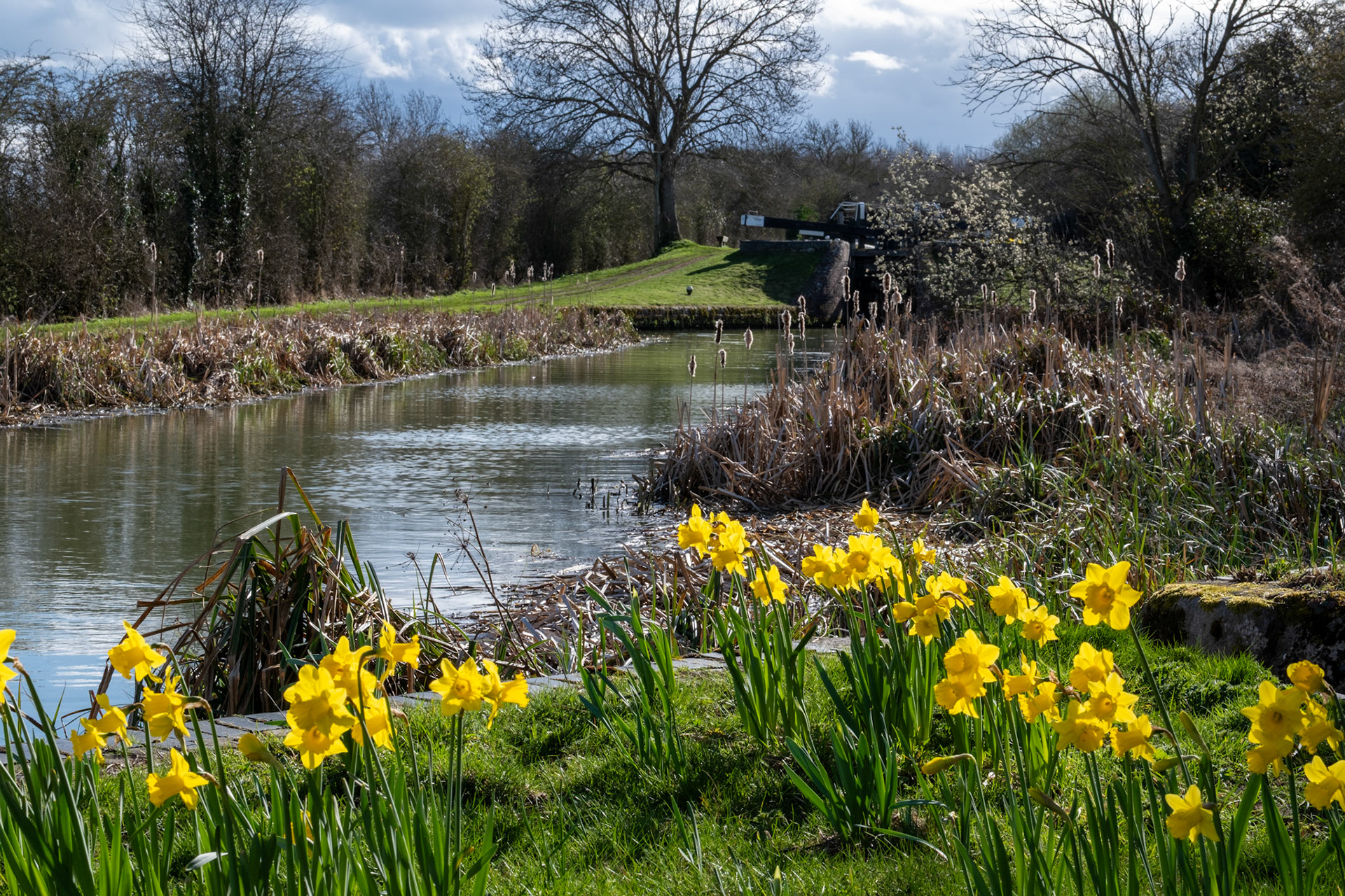 Northampton Arm, Gayton March 2023