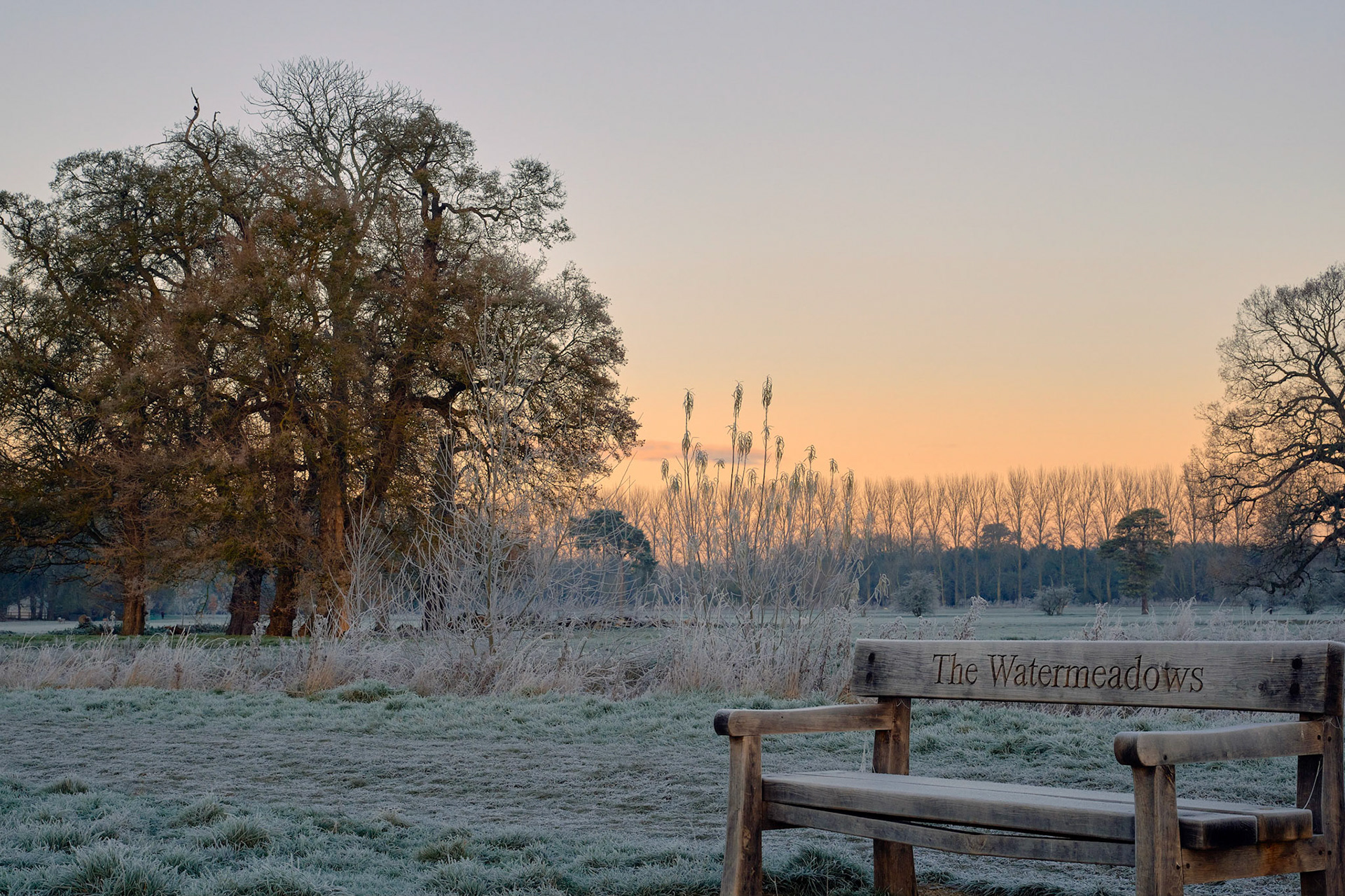 Watermeadows, Towcester (-6c), Dec 2022