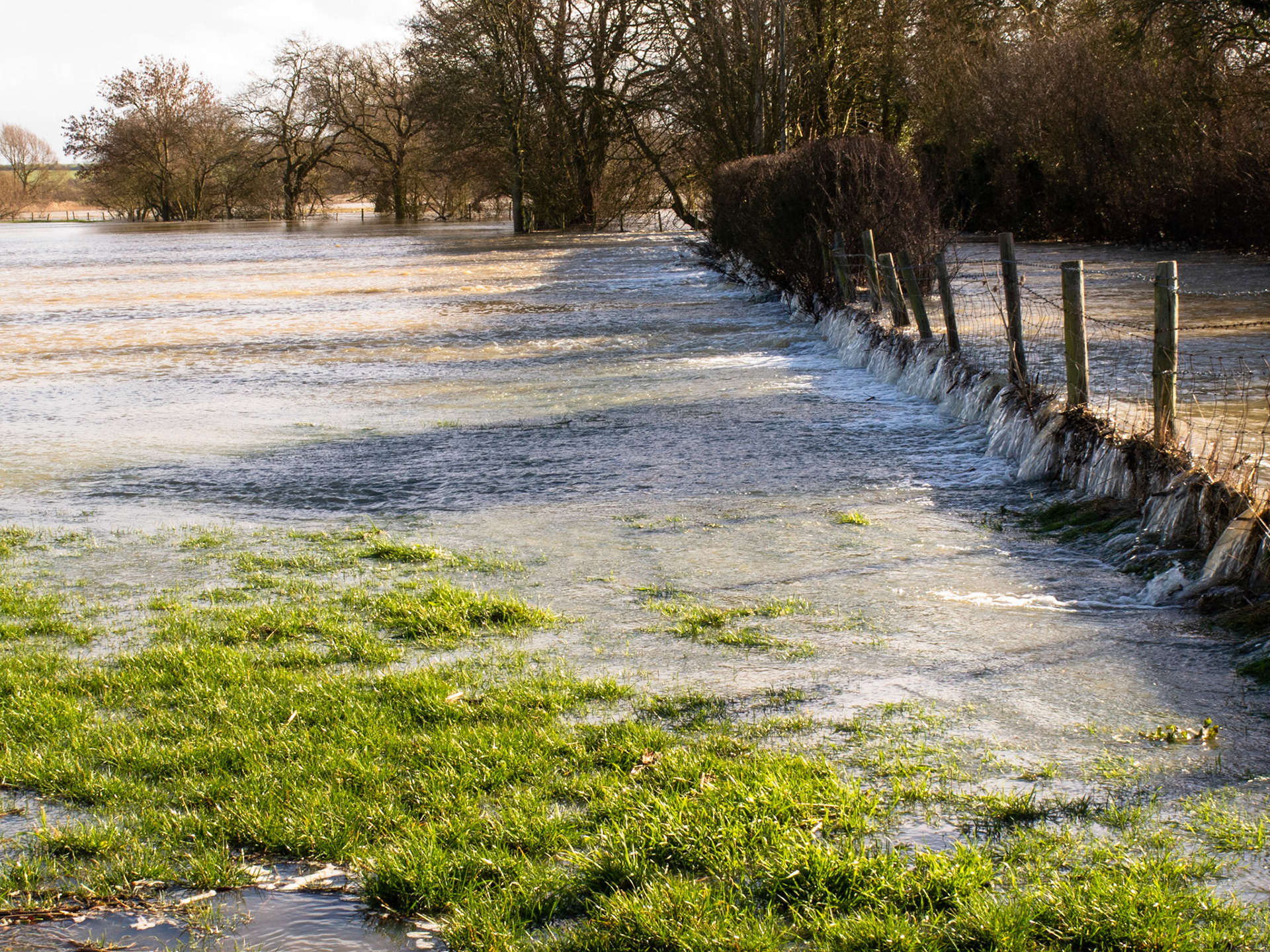 Great Ouse, Ravenstone (Feb 2014)