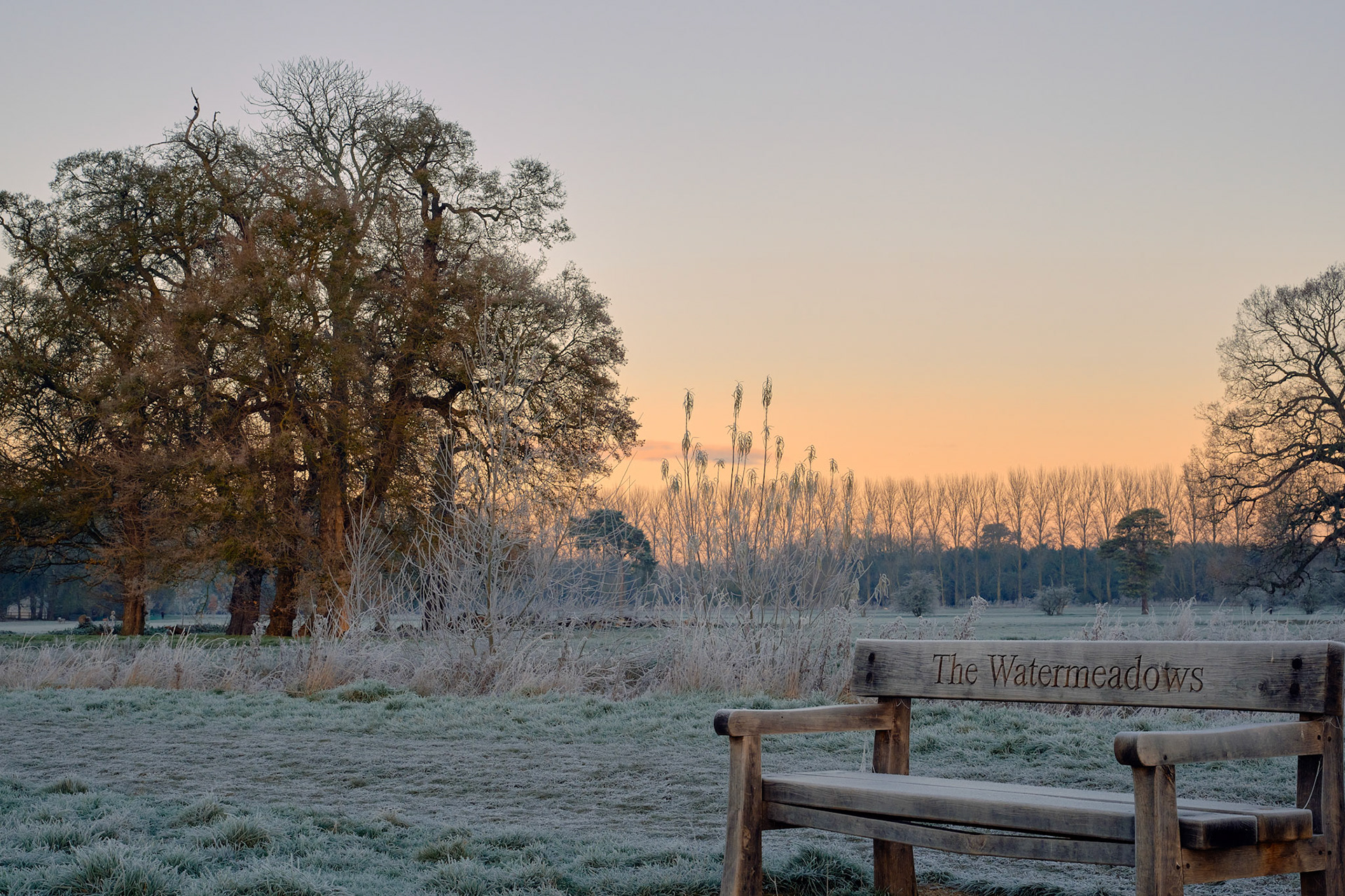 Watermeadows, Towcester (-6c), Dec 2022