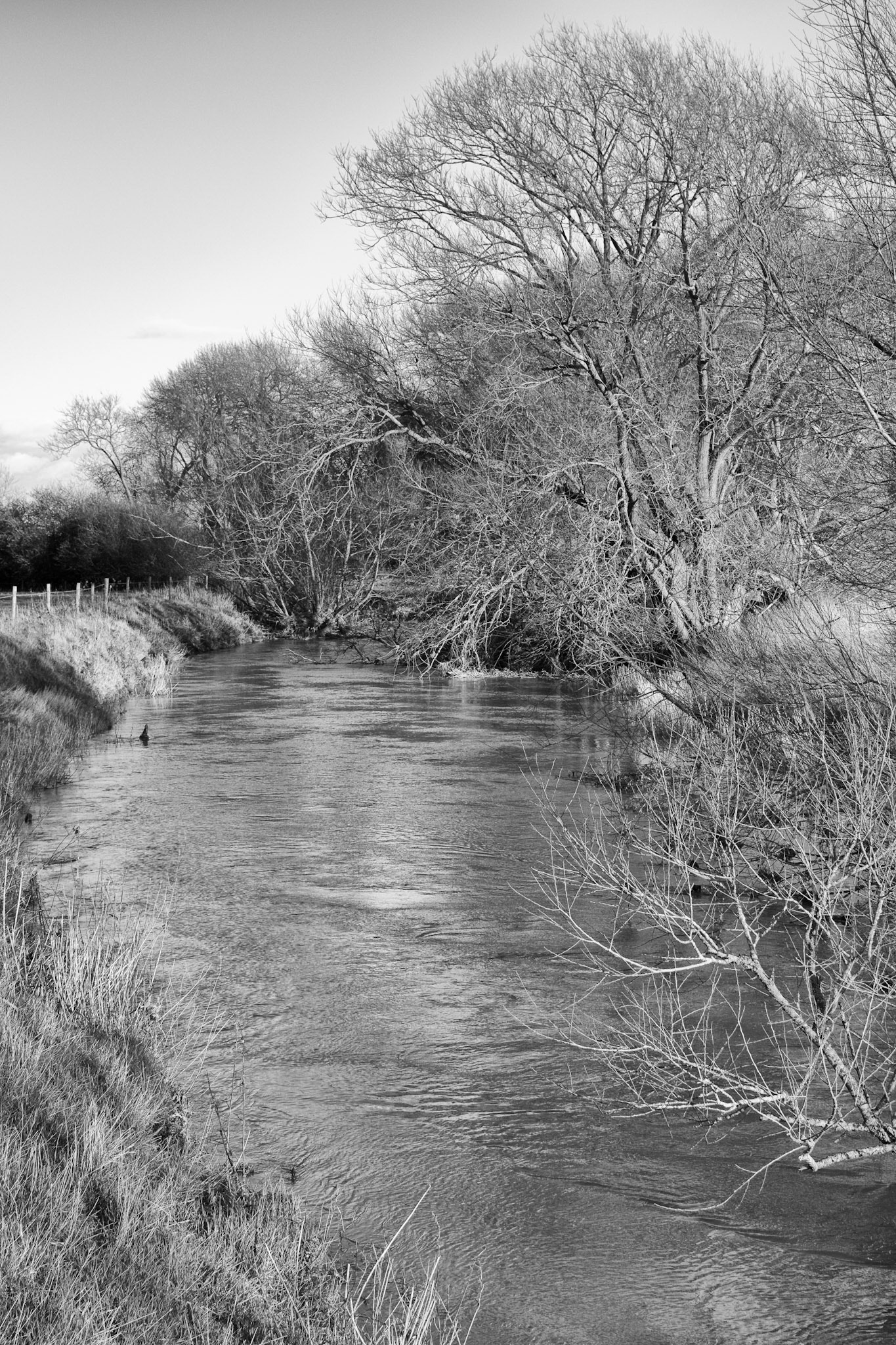 Great Ouse, Thornton 2016