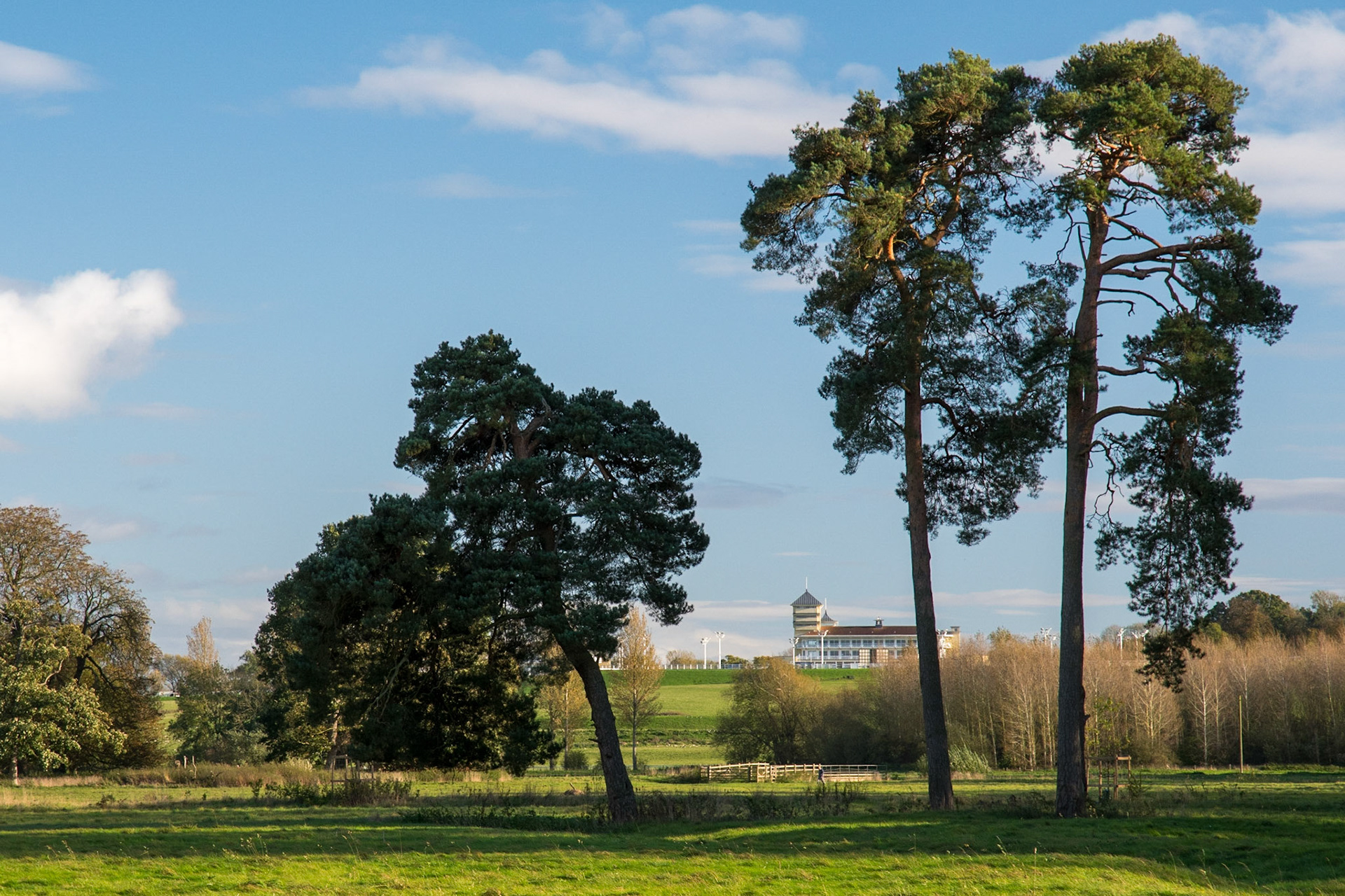 Racecourse view, Towcester, Oct 2017