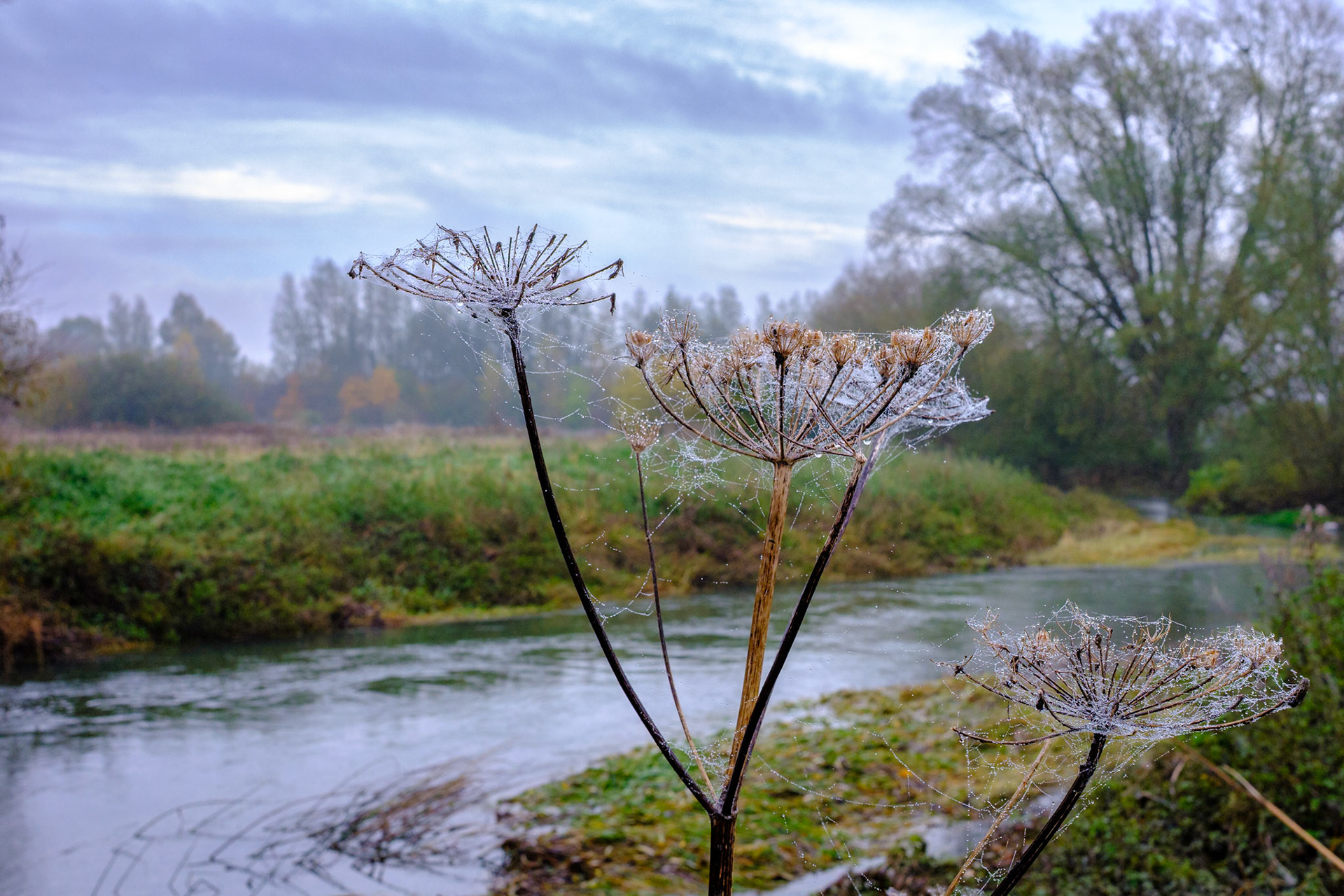 Autumnal River Great Ouse. Nov 2023