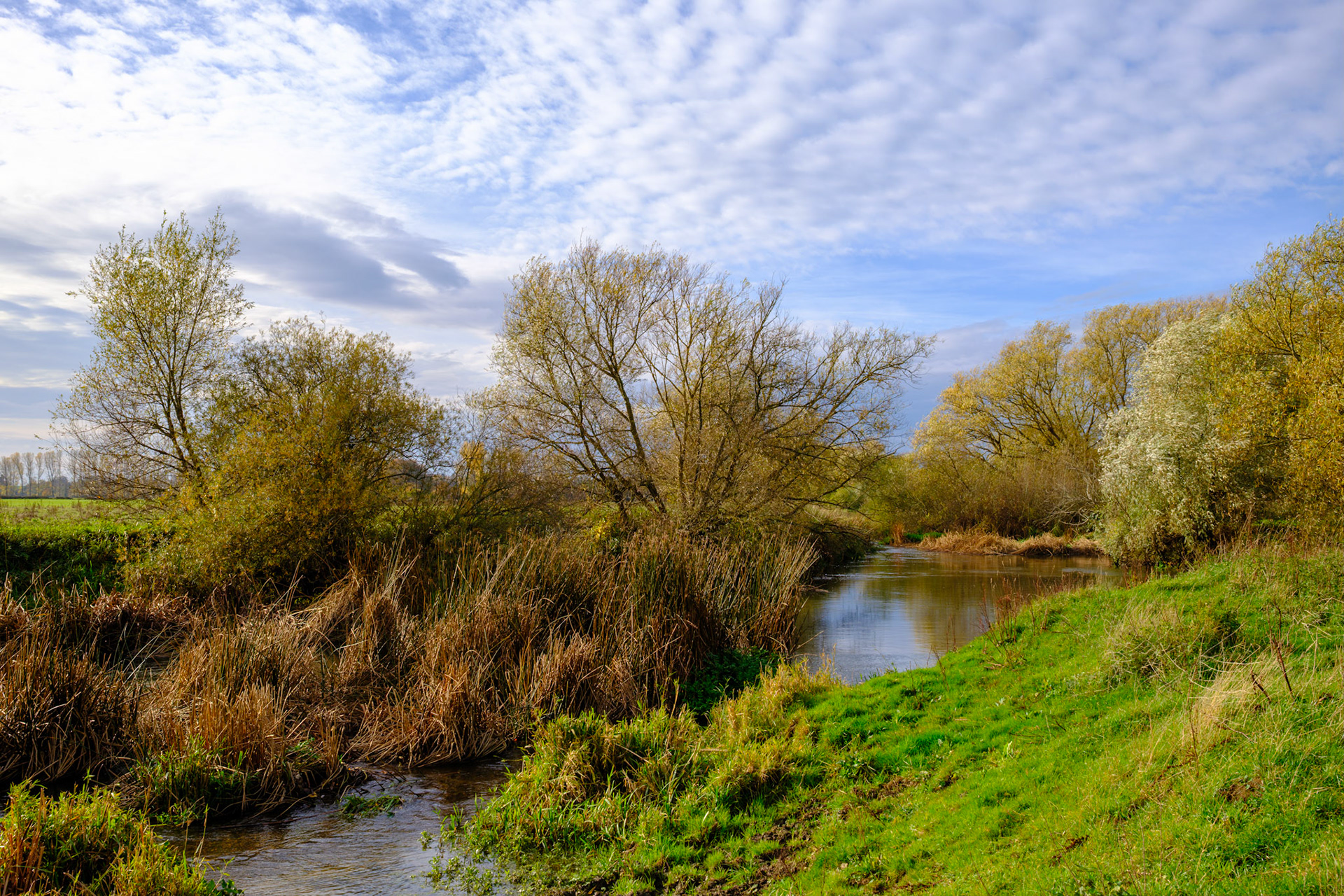 Gt Ouse Raventone (Nov 2025)