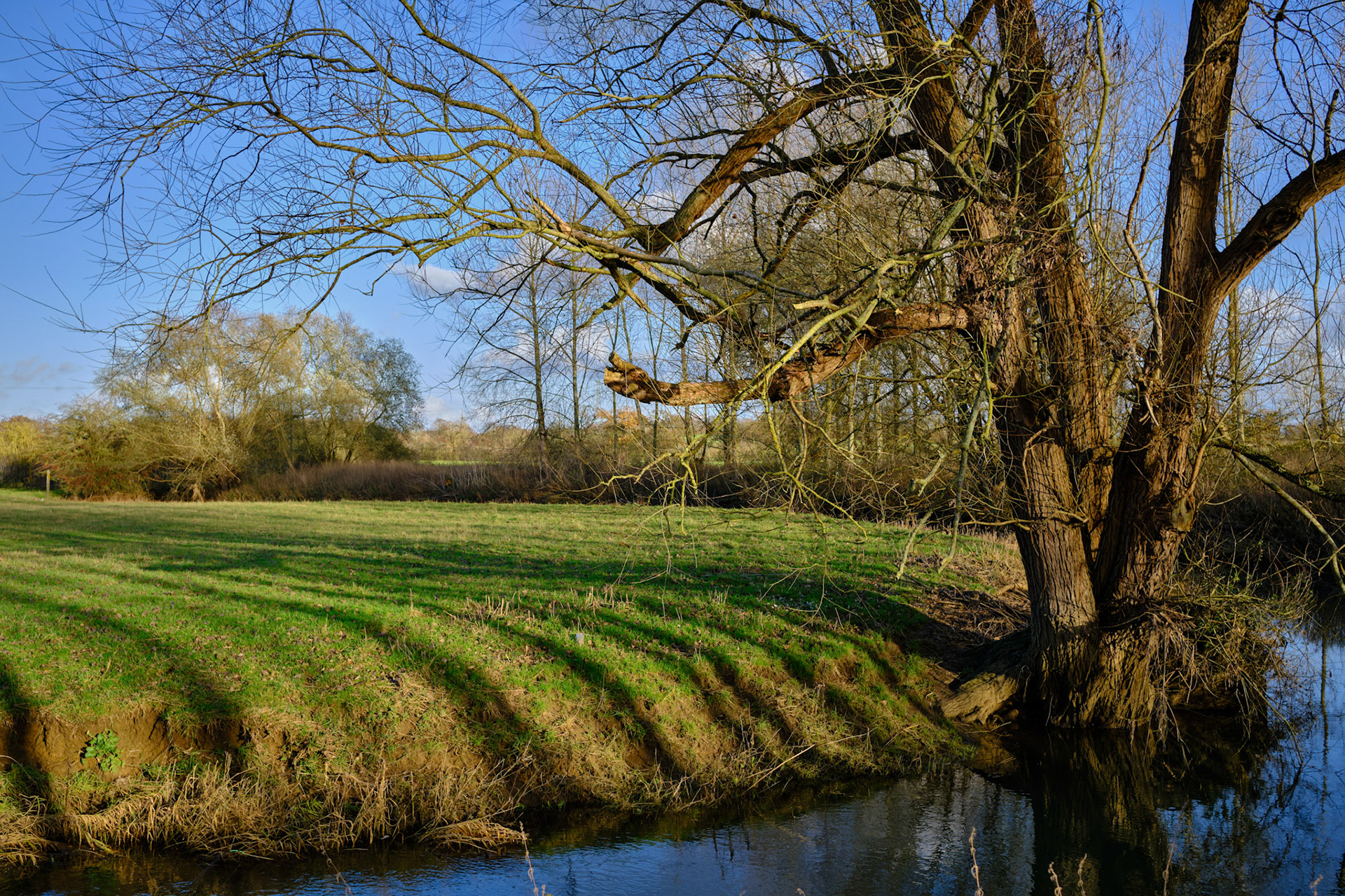 River Tove, Heathencote 2020