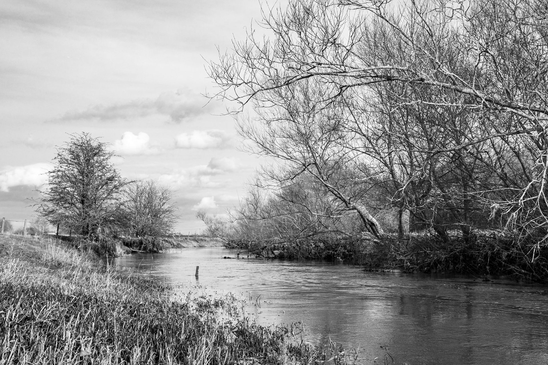 Great Ouse, Thornton 2013