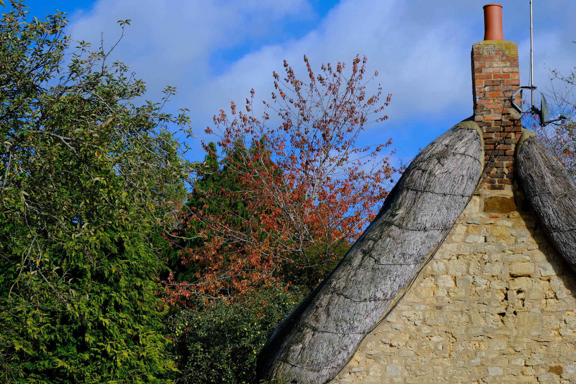 Towcester Thatch (Churchyard), Oct 2020