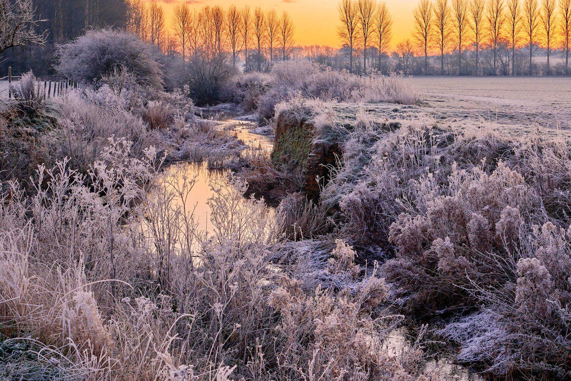River Tove, Towcester (-6c) 2022