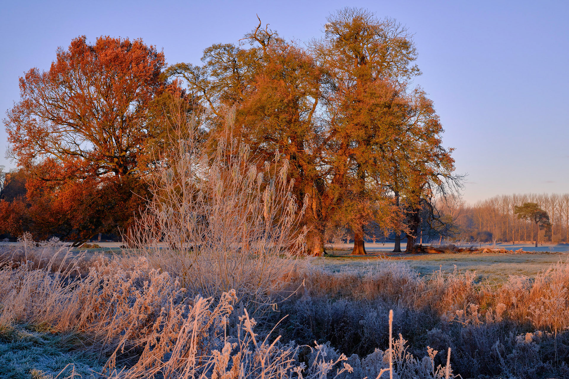 Watermeadows, Towcester (-6c), Dec 2022