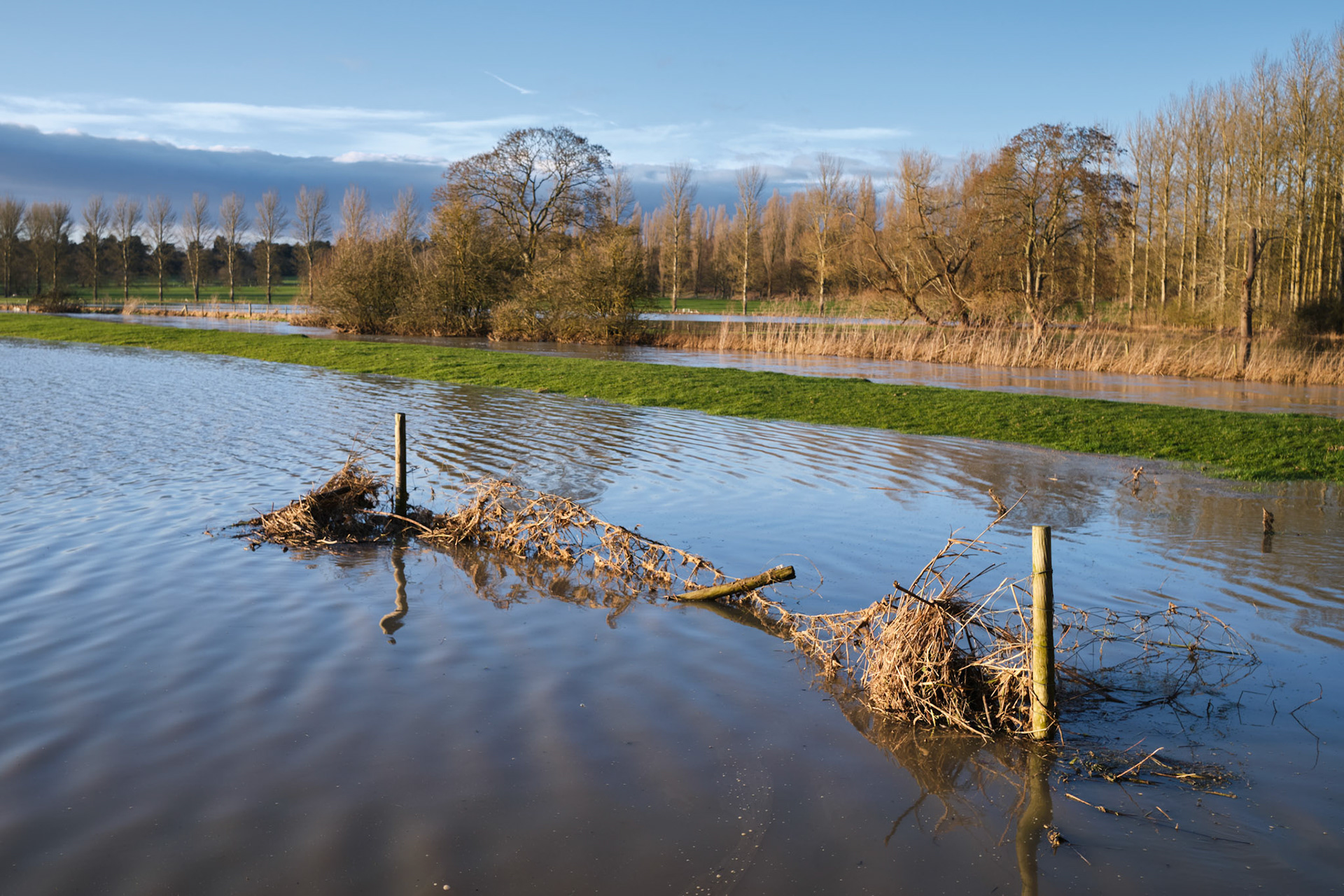 River Tove, Towcester, Christmas 2020