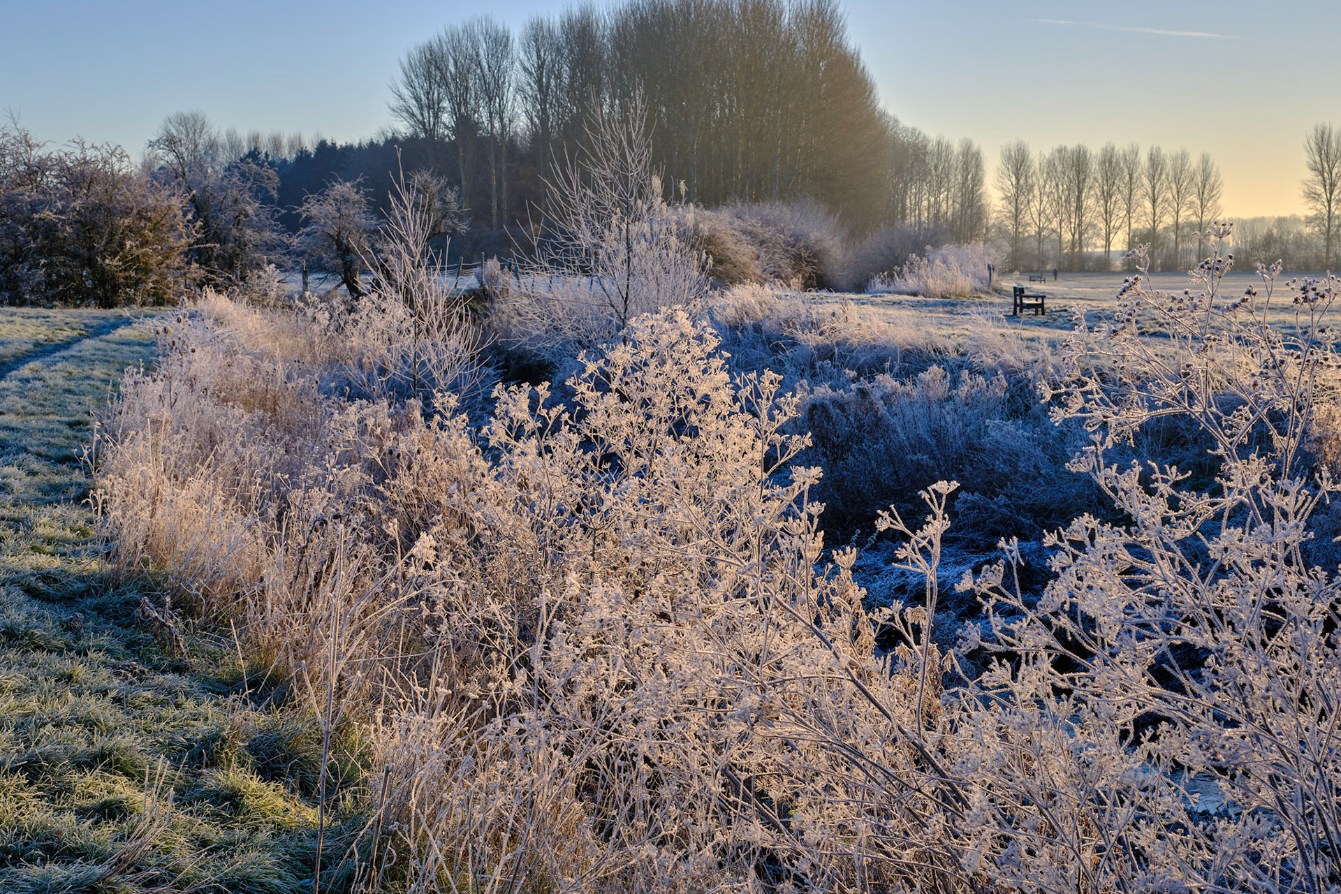 River Tove, Towcester (-6c), Dec 2022