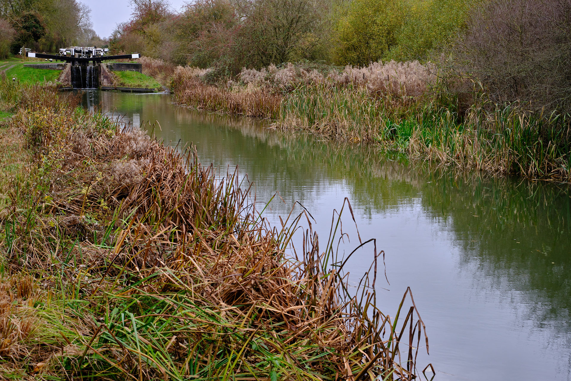 Grand Union Canal at Gayton