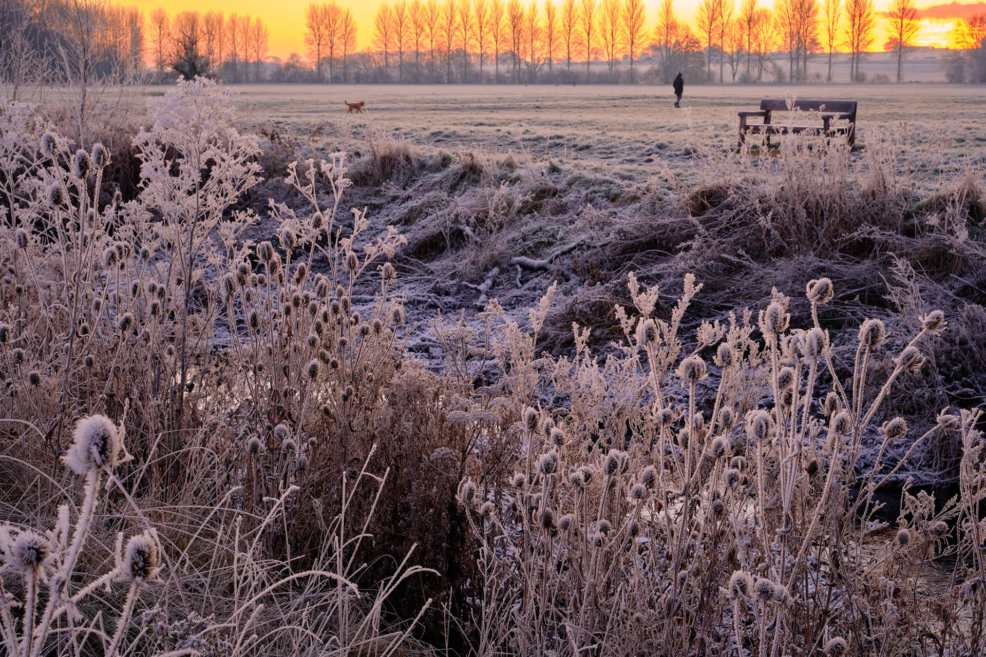 River Tove, Towcester (-6c), Dec 2022