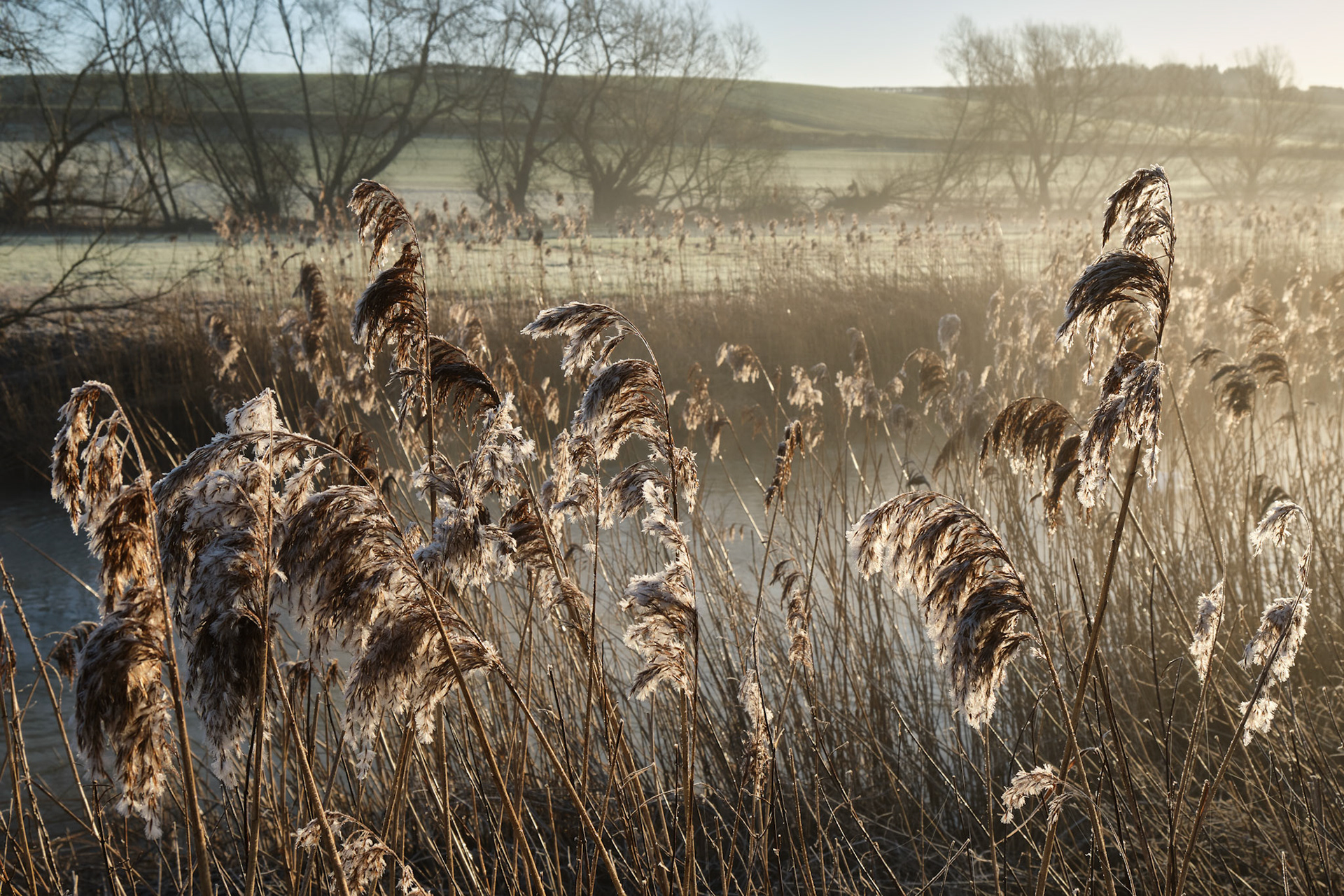 Great Ouse, Sherrington 2021