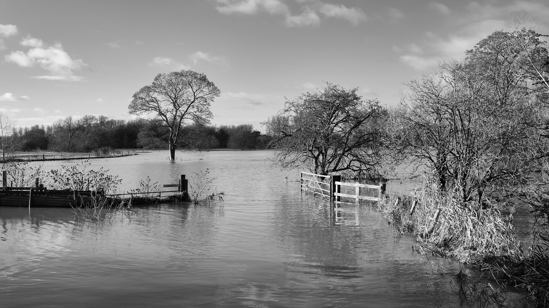 River Tove, Towcester, Christmas 2020