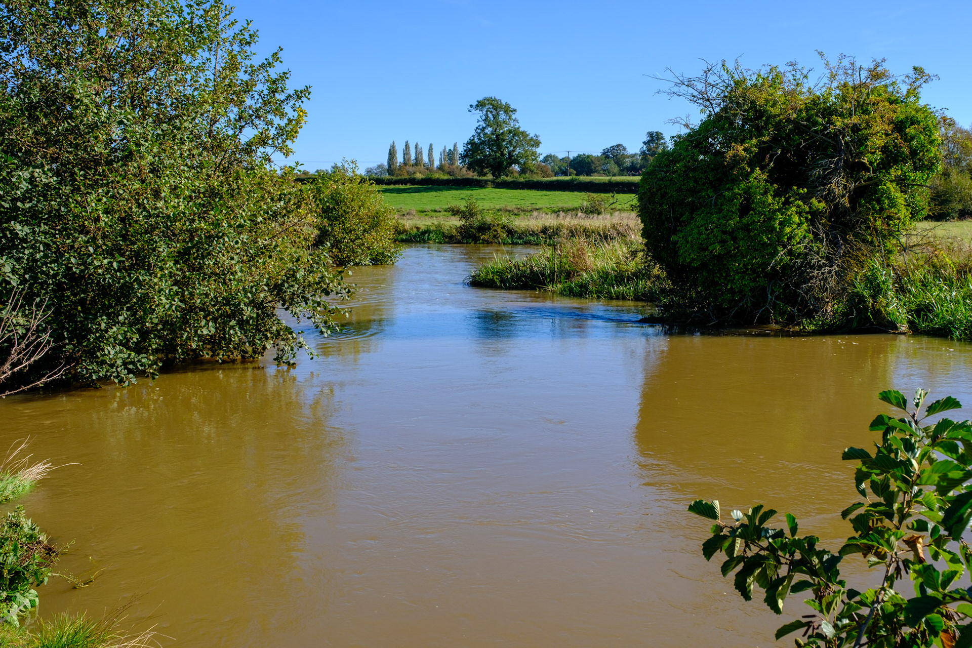 Gt Ouse, Passenham. High Water Oct 2023