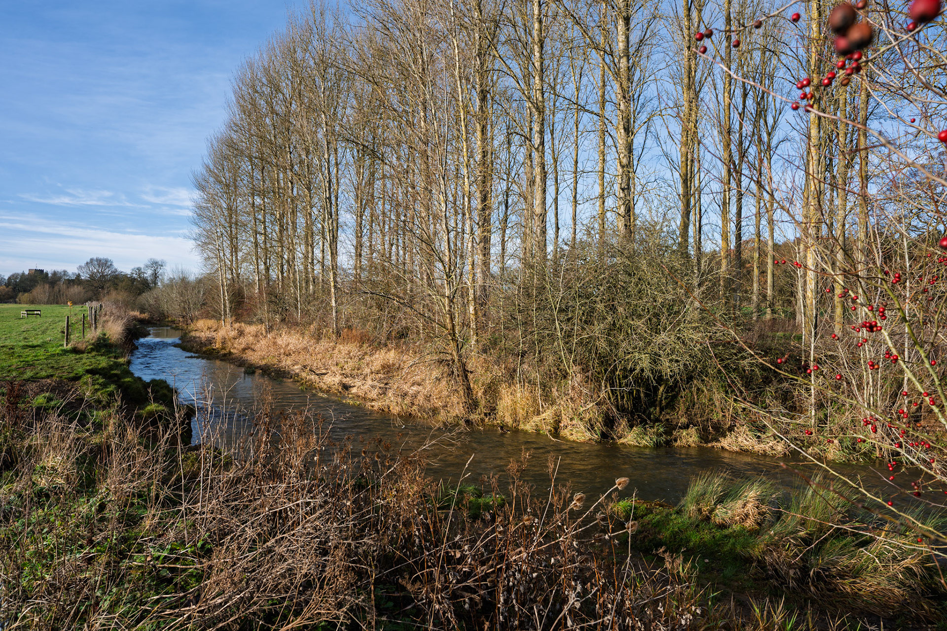 Watermeadows Towcester (Dec 25)