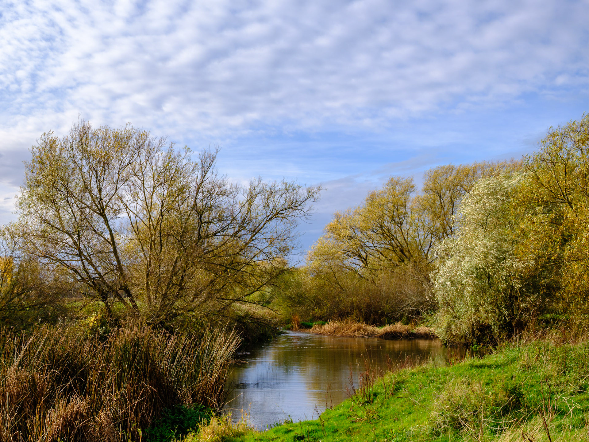 Great Ouse, Ravenstone (Nov 2025)