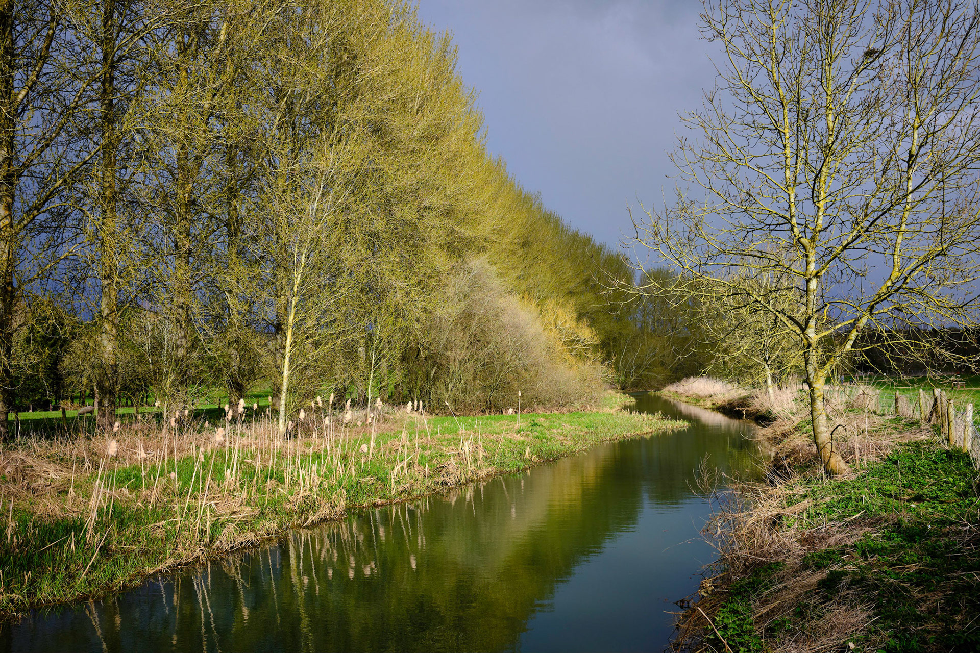 River Tove, Towcester, Apr 2022