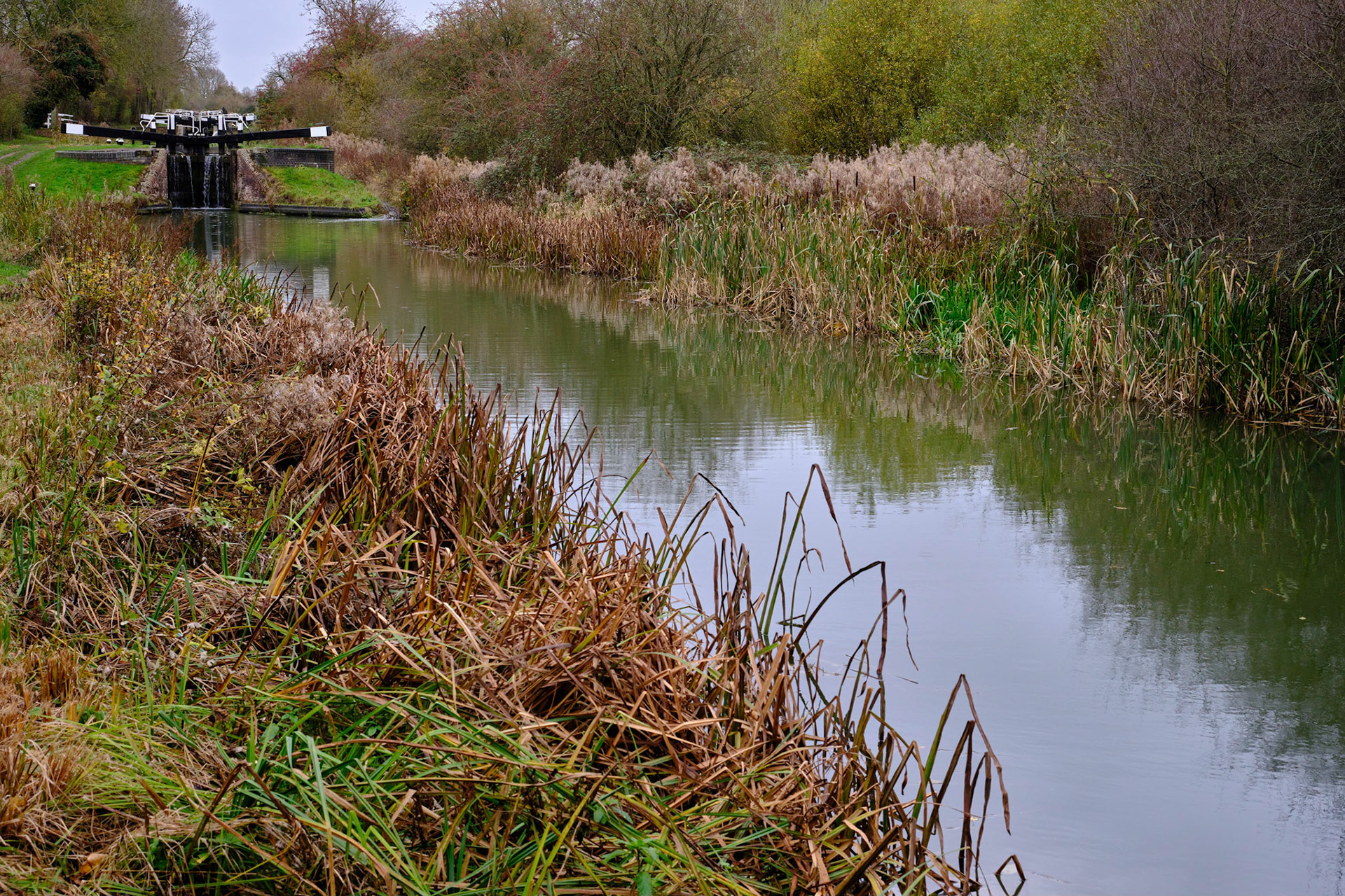 Northampton Arm, Gayton Nov 2022