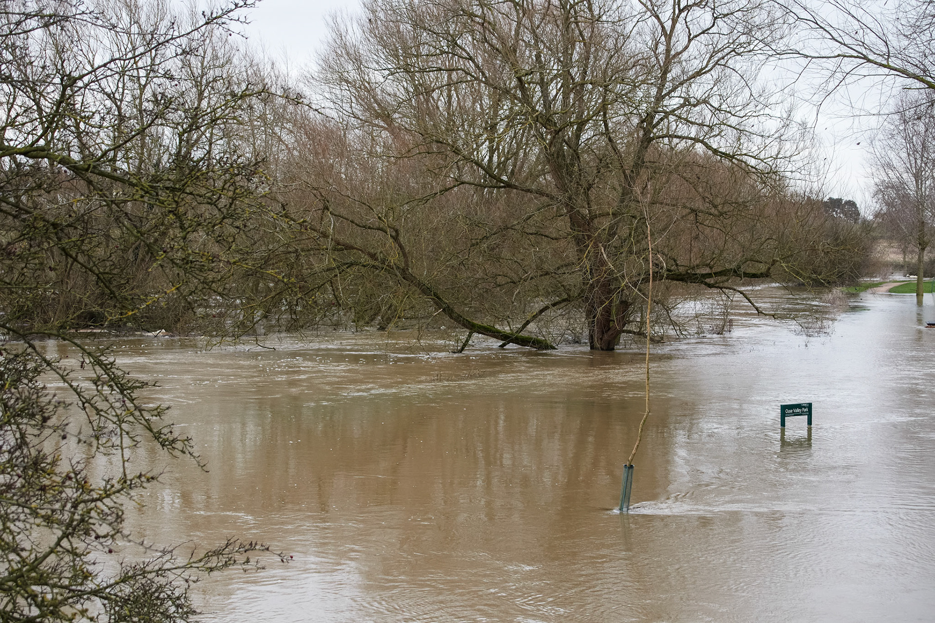Great Ouse, Haversham 2019