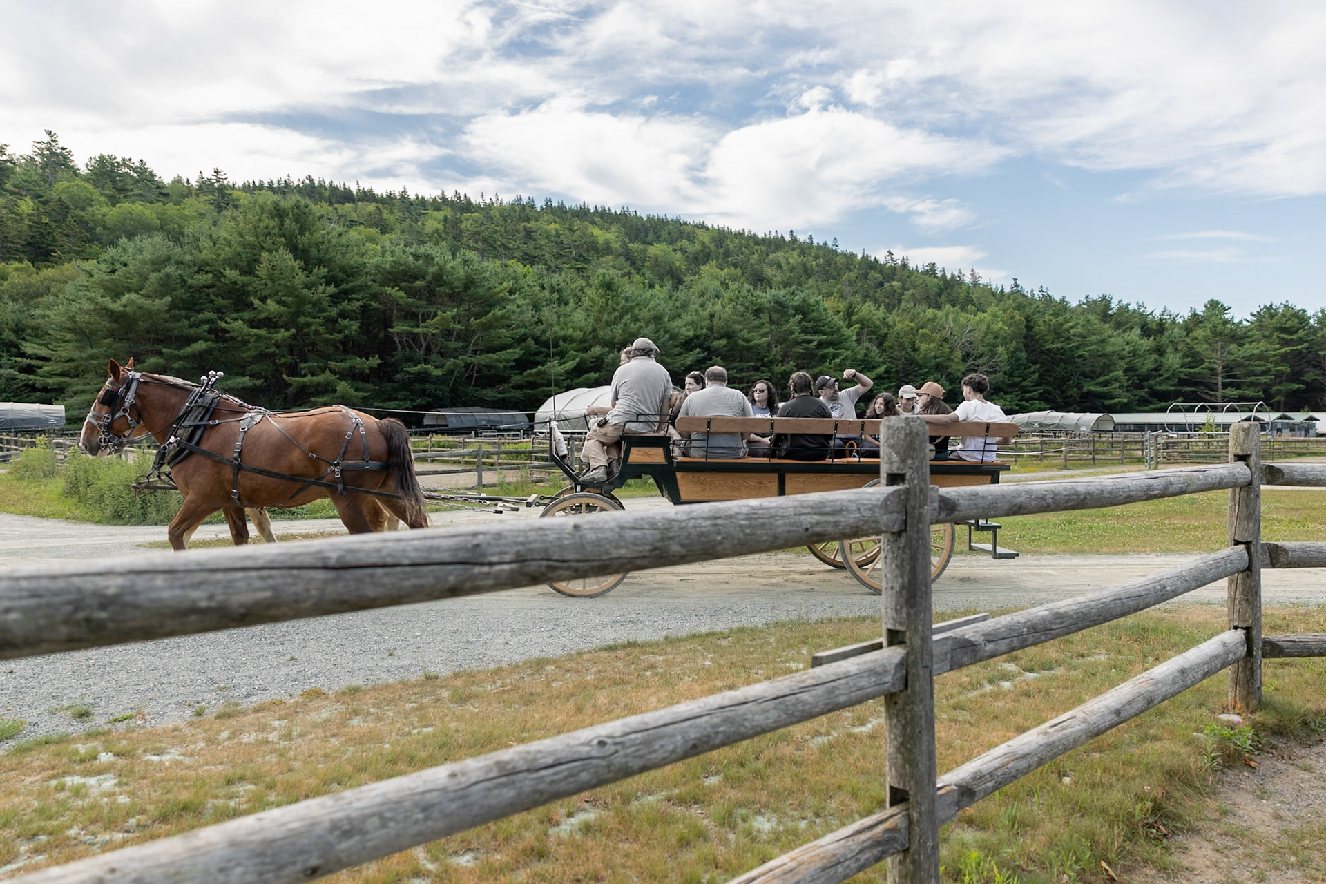 Wildwood Stables  Carriages Rides