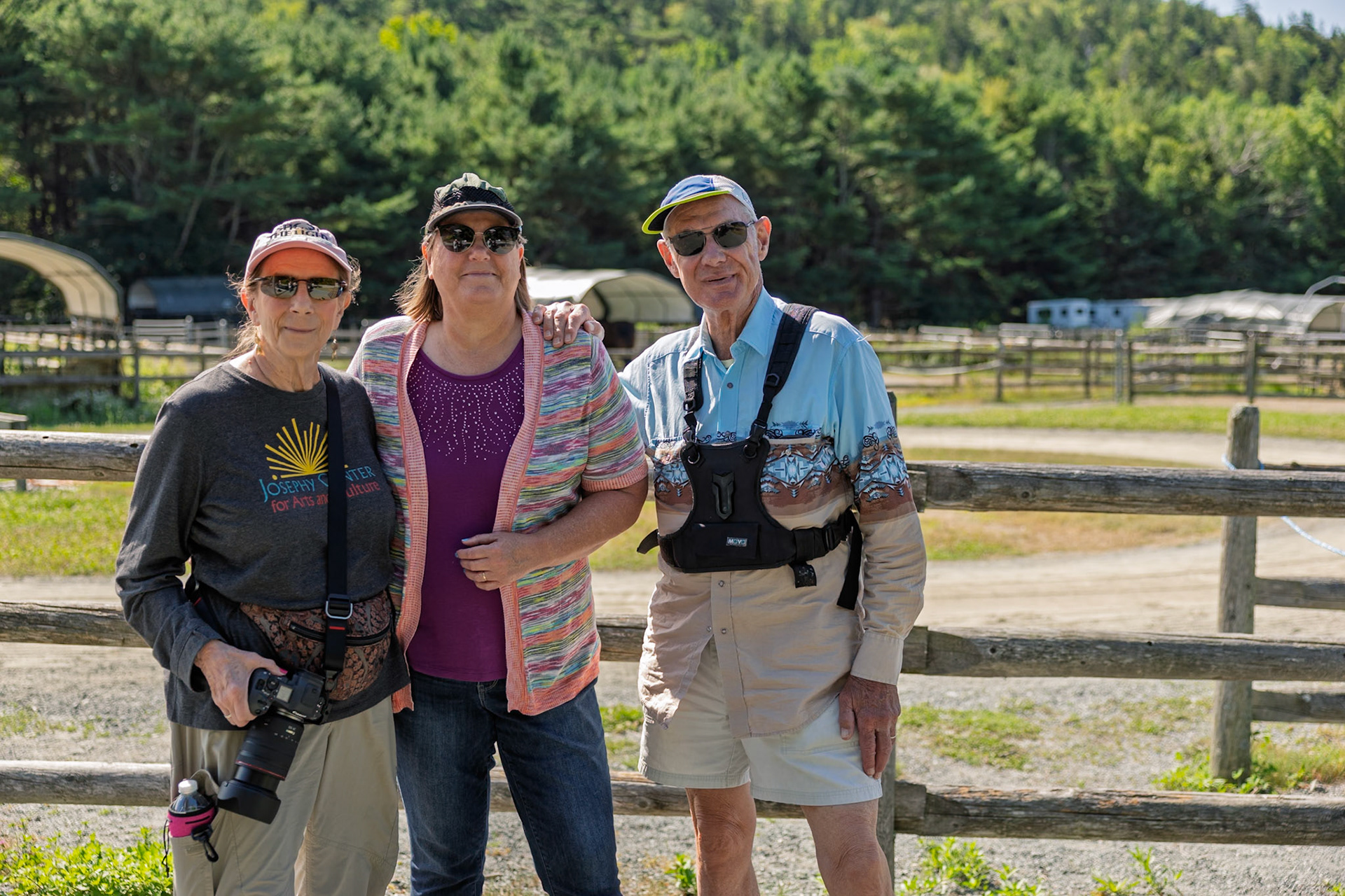 Wildwood Stables  Carriages Rides