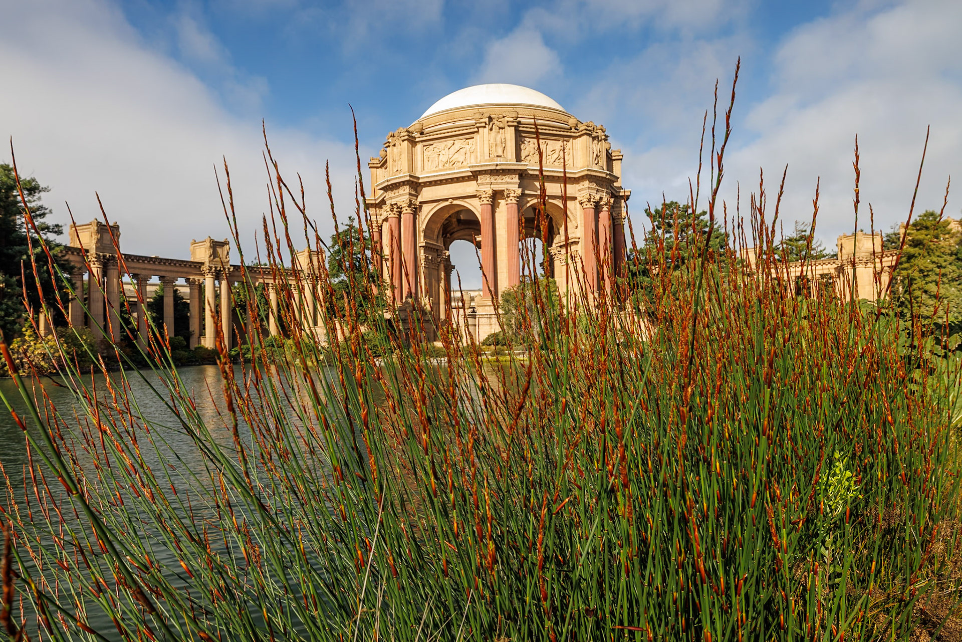 Palace of Fine Arts