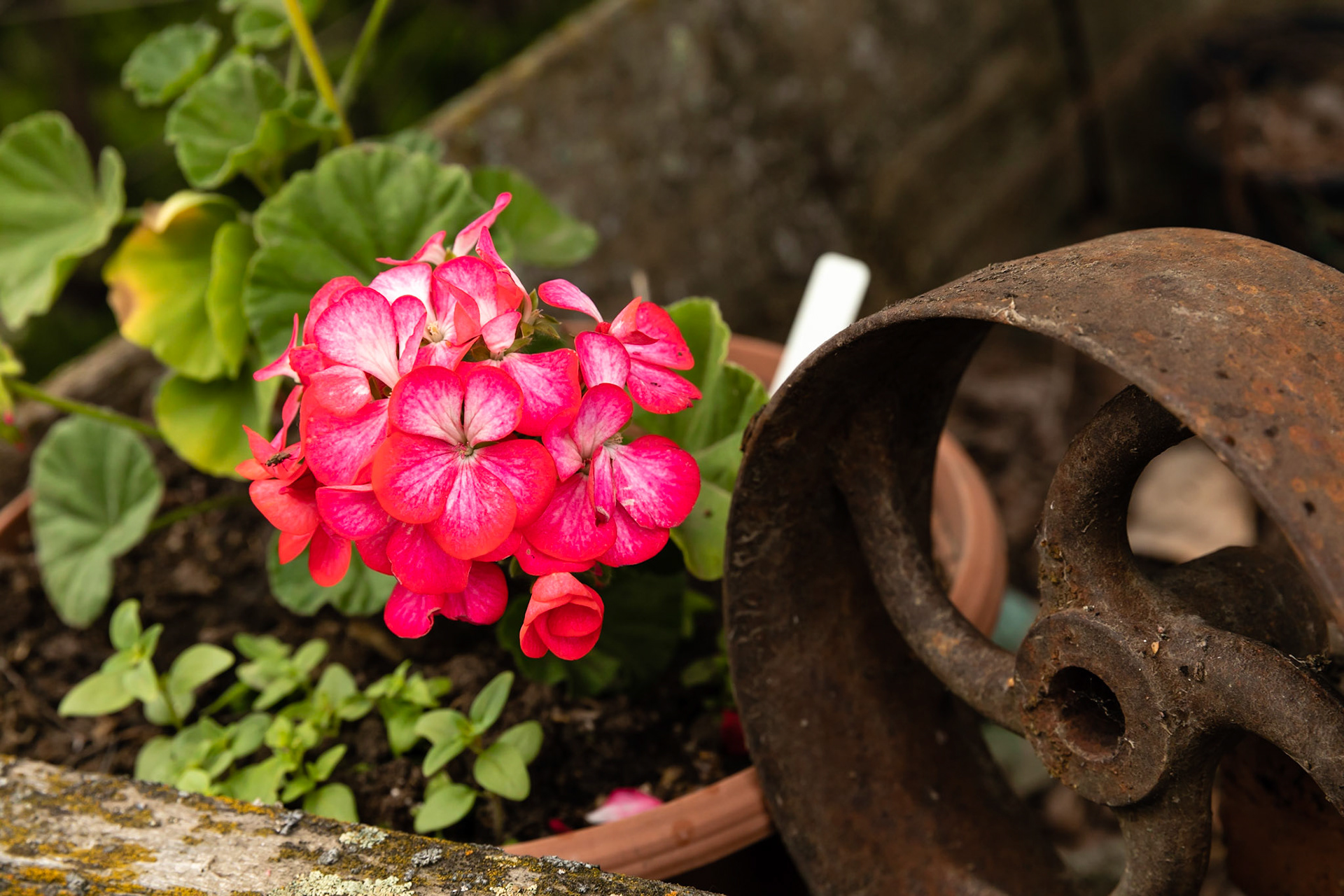 Artisans At the Dahmen Barn