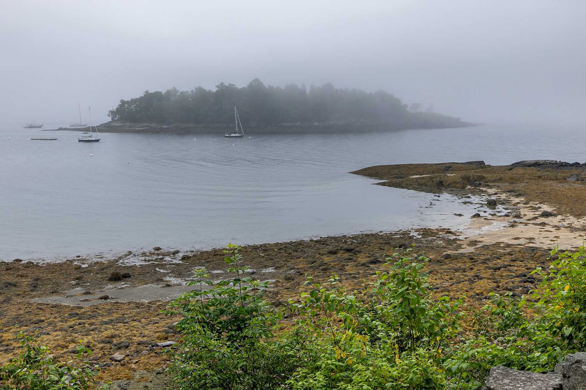 Curtis Lighthouse Overlook