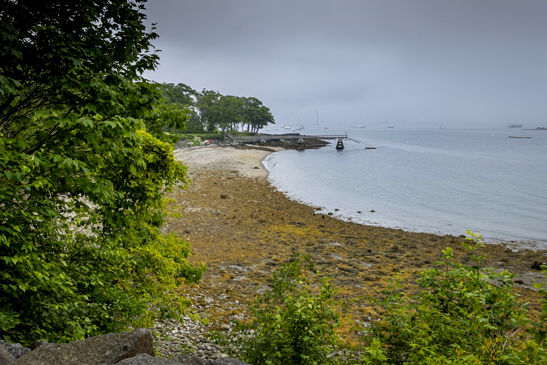 Curtis Lighthouse Overlook