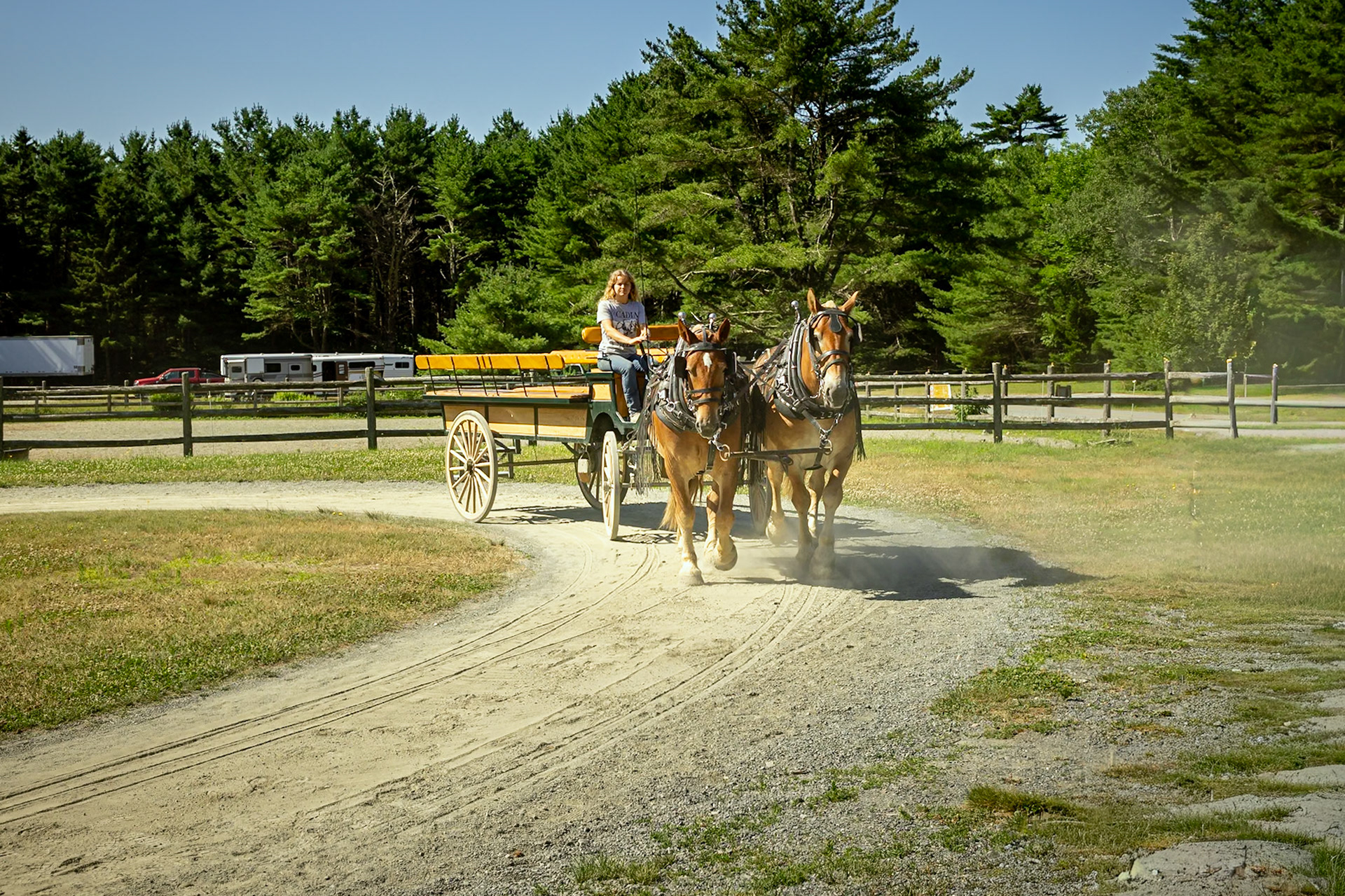 Wildwood Stables  Carriages Rides