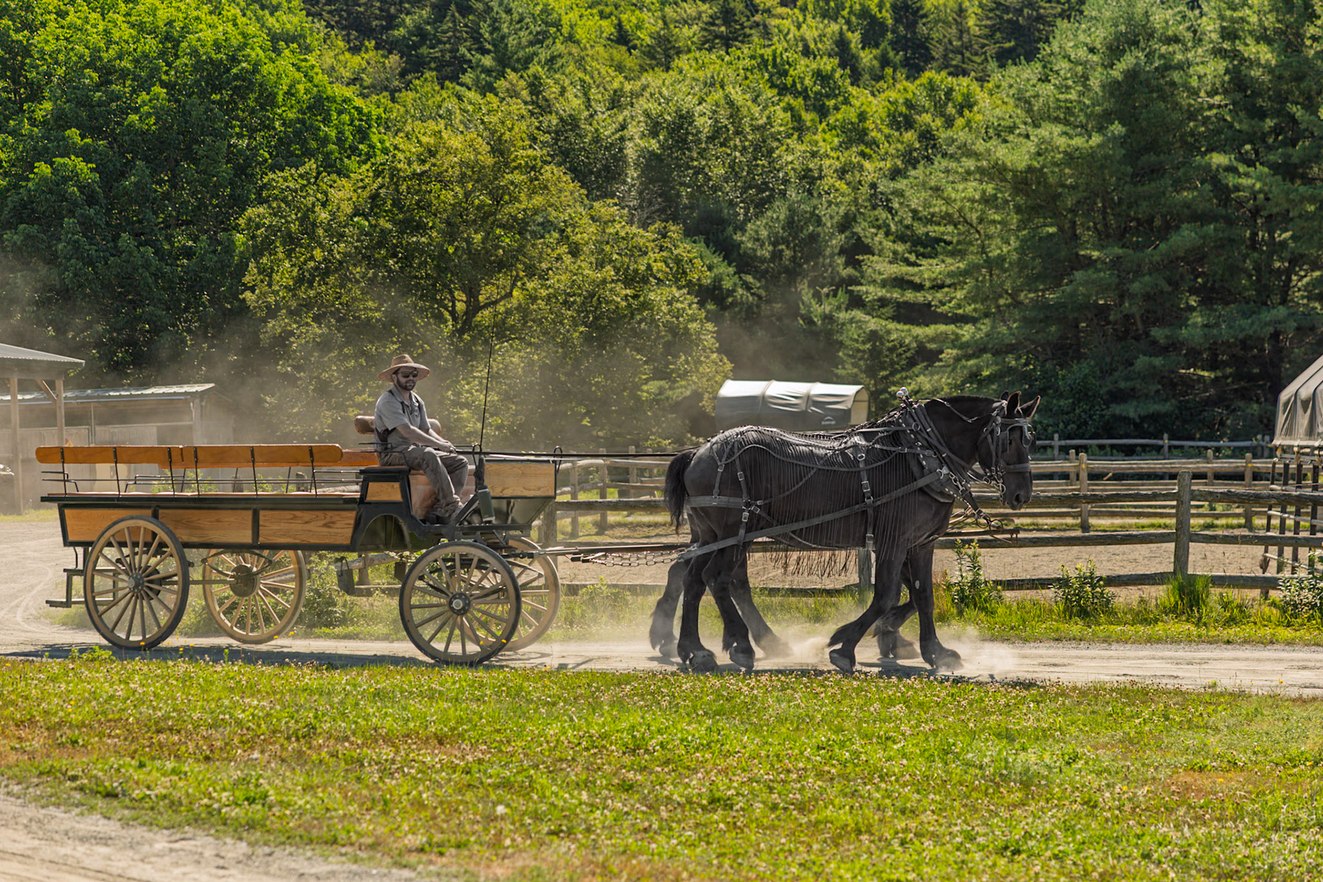 Wildwood Stables  Carriages Rides