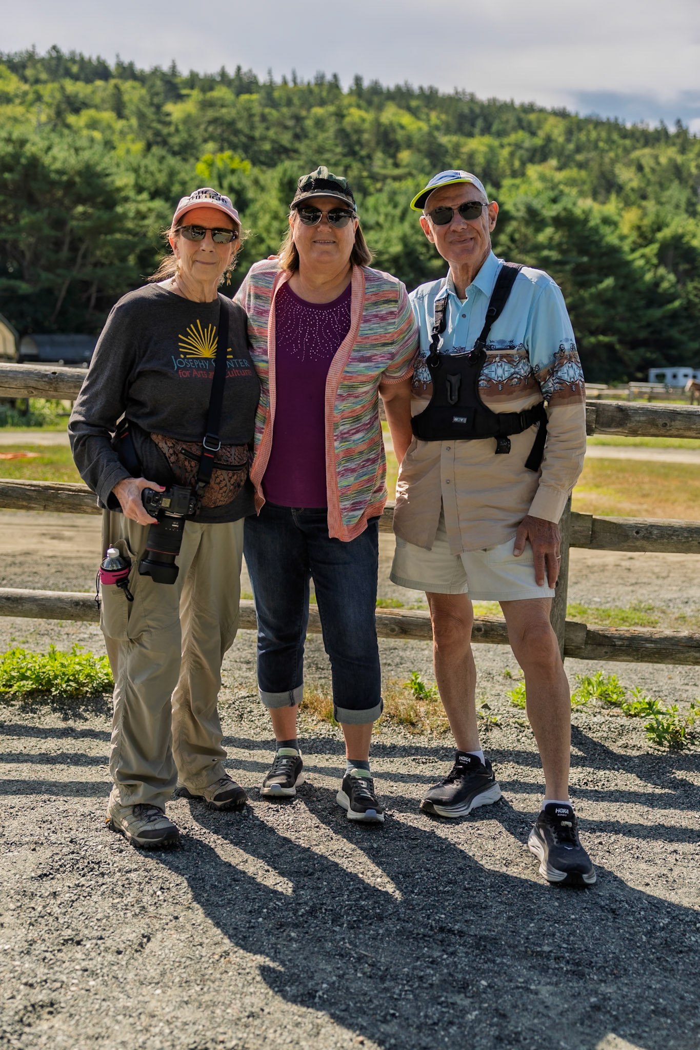 Wildwood Stables  Carriages Rides