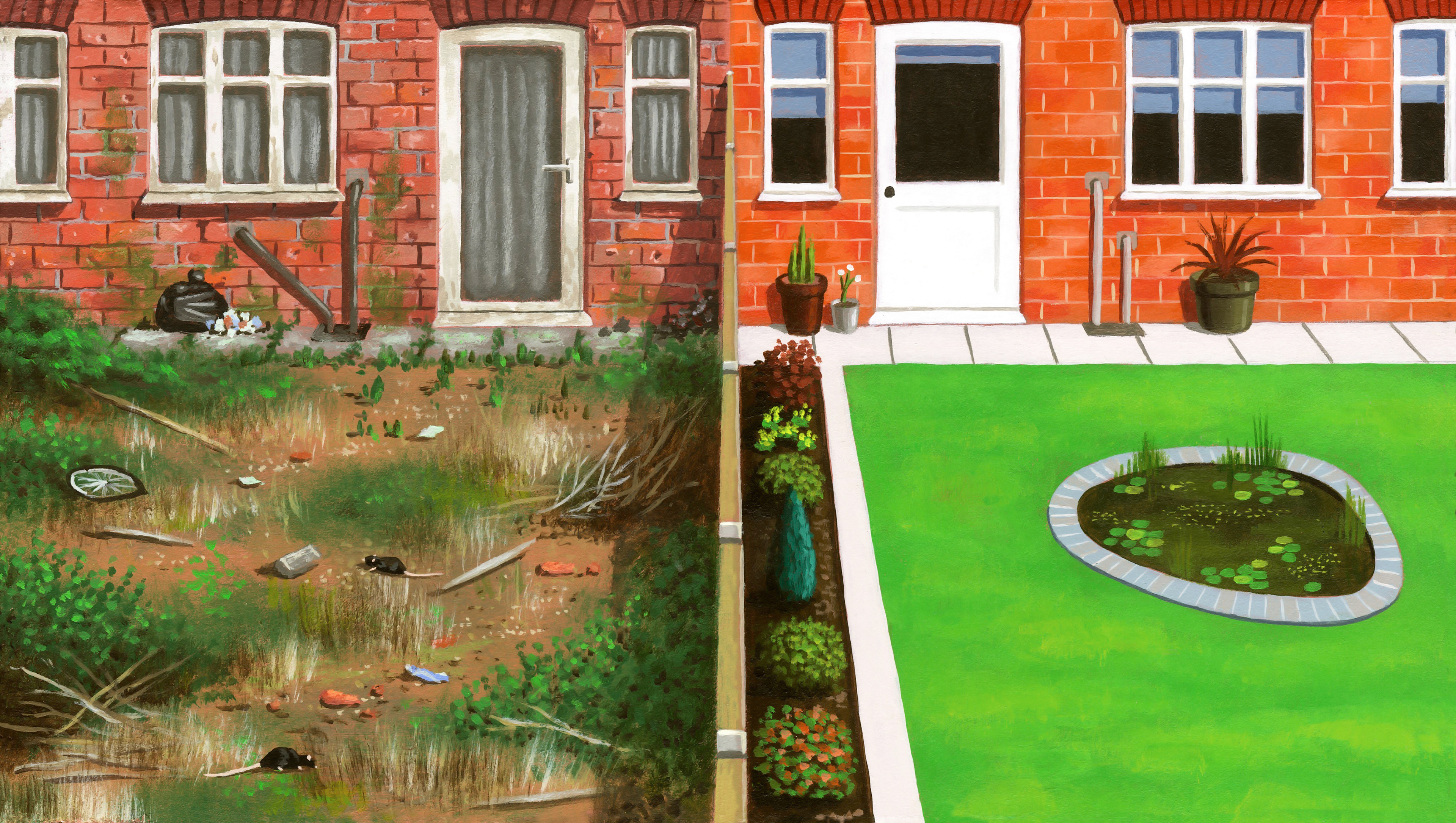 Property Law. Can a neighbour be made to clean up their garden if it is affecting the price and sale of your home.