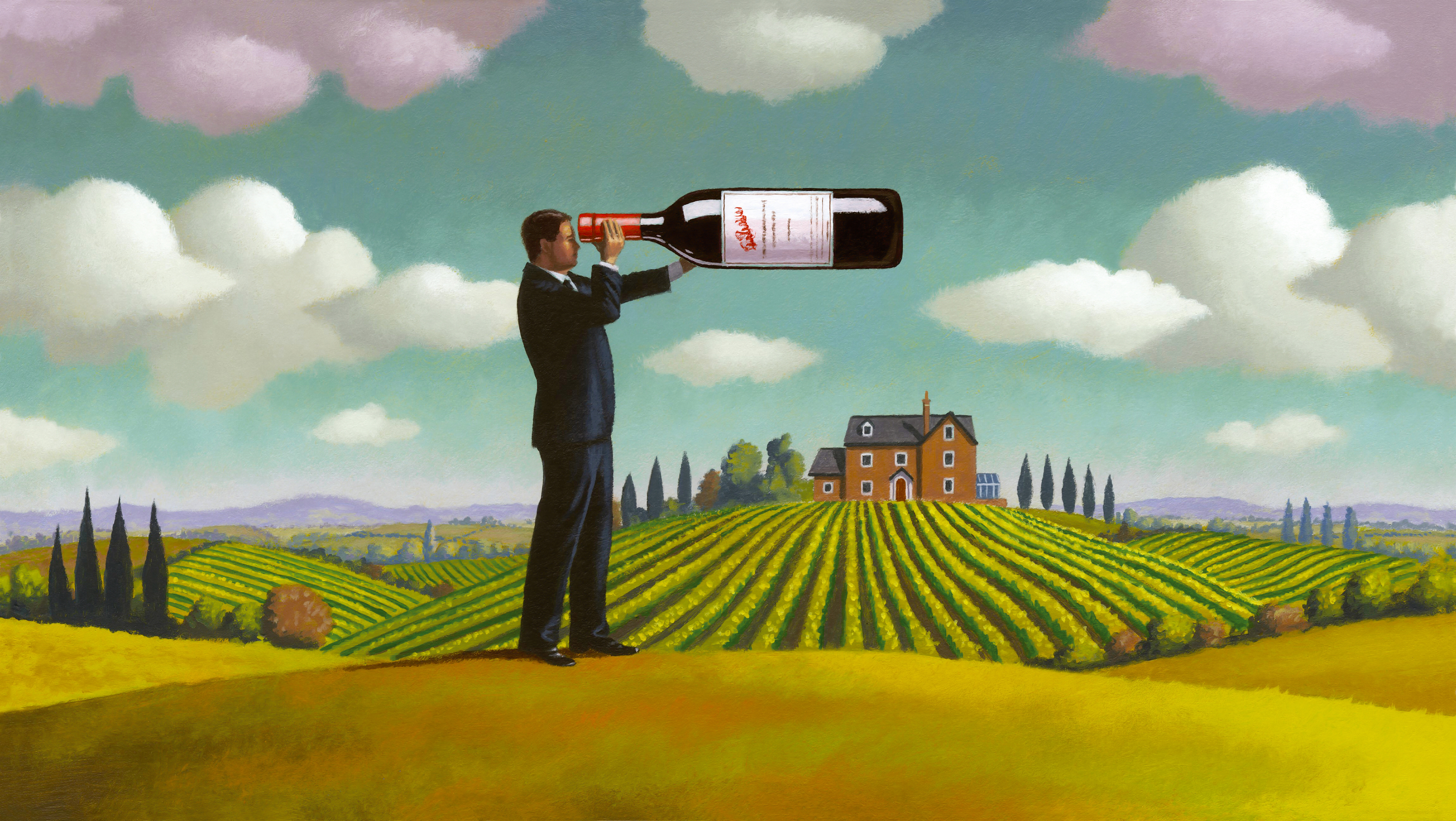 Property Law. Creating a vineyard on your property.