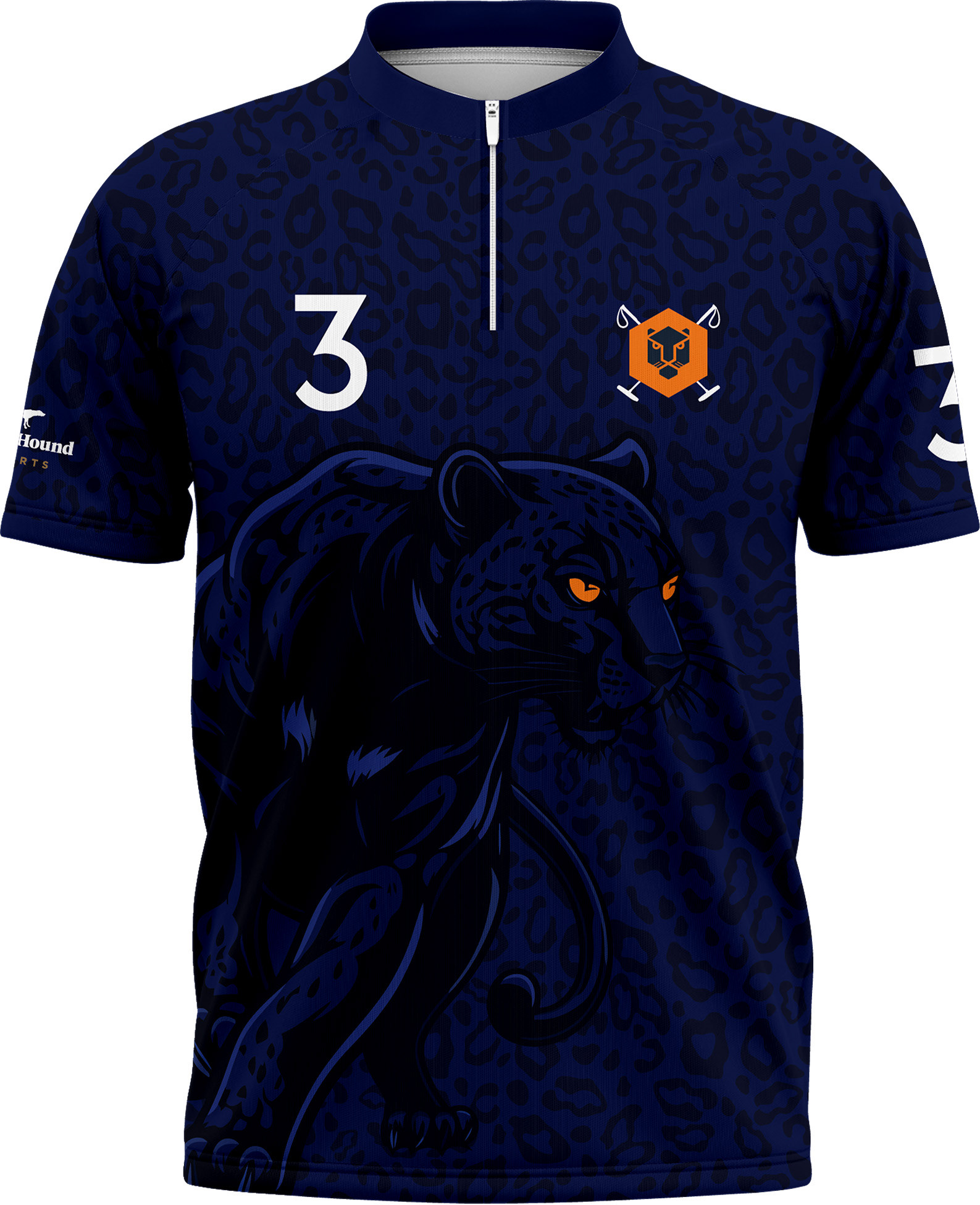 Jindal Panthers Polo Team