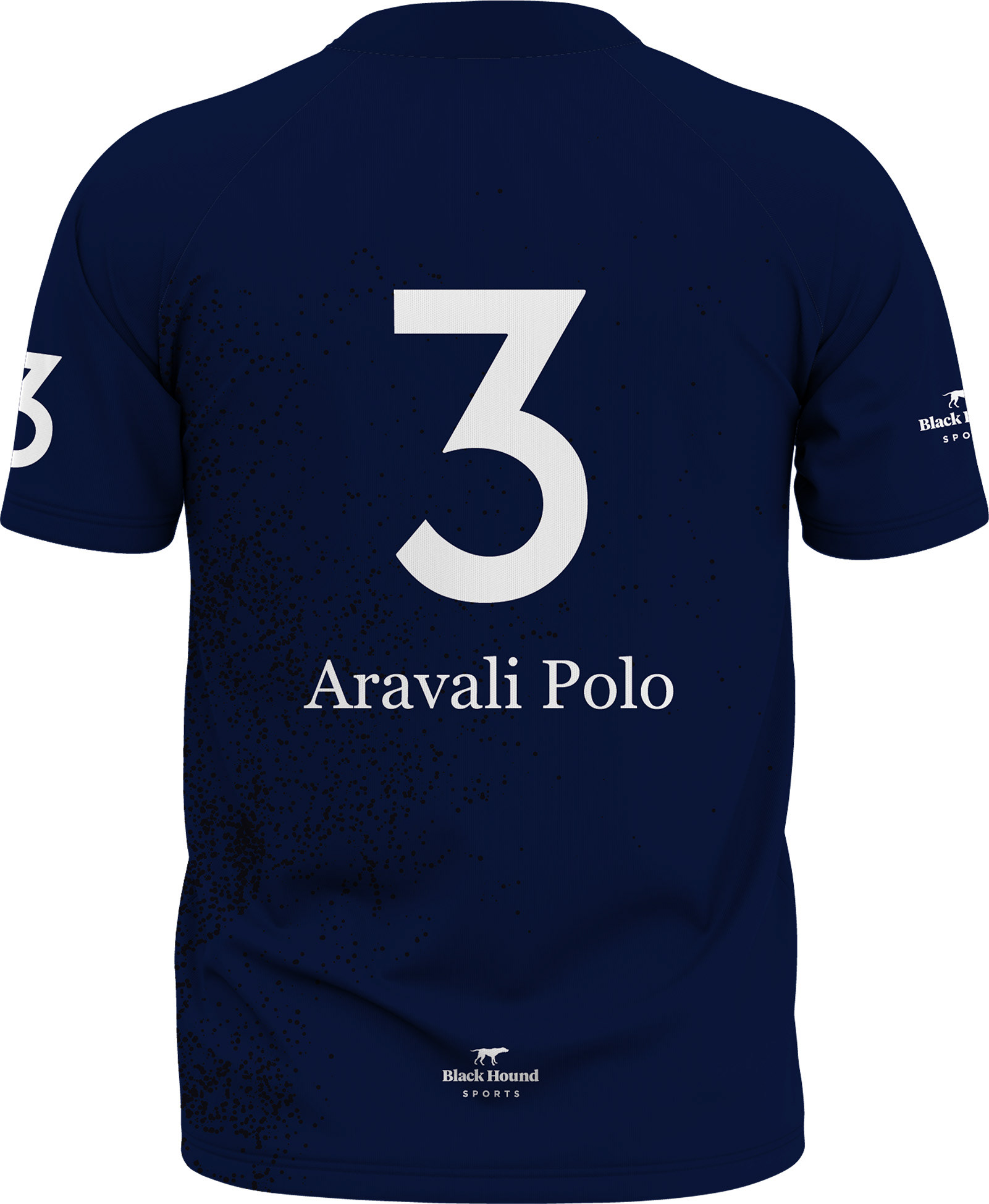 Aravali Polo Team