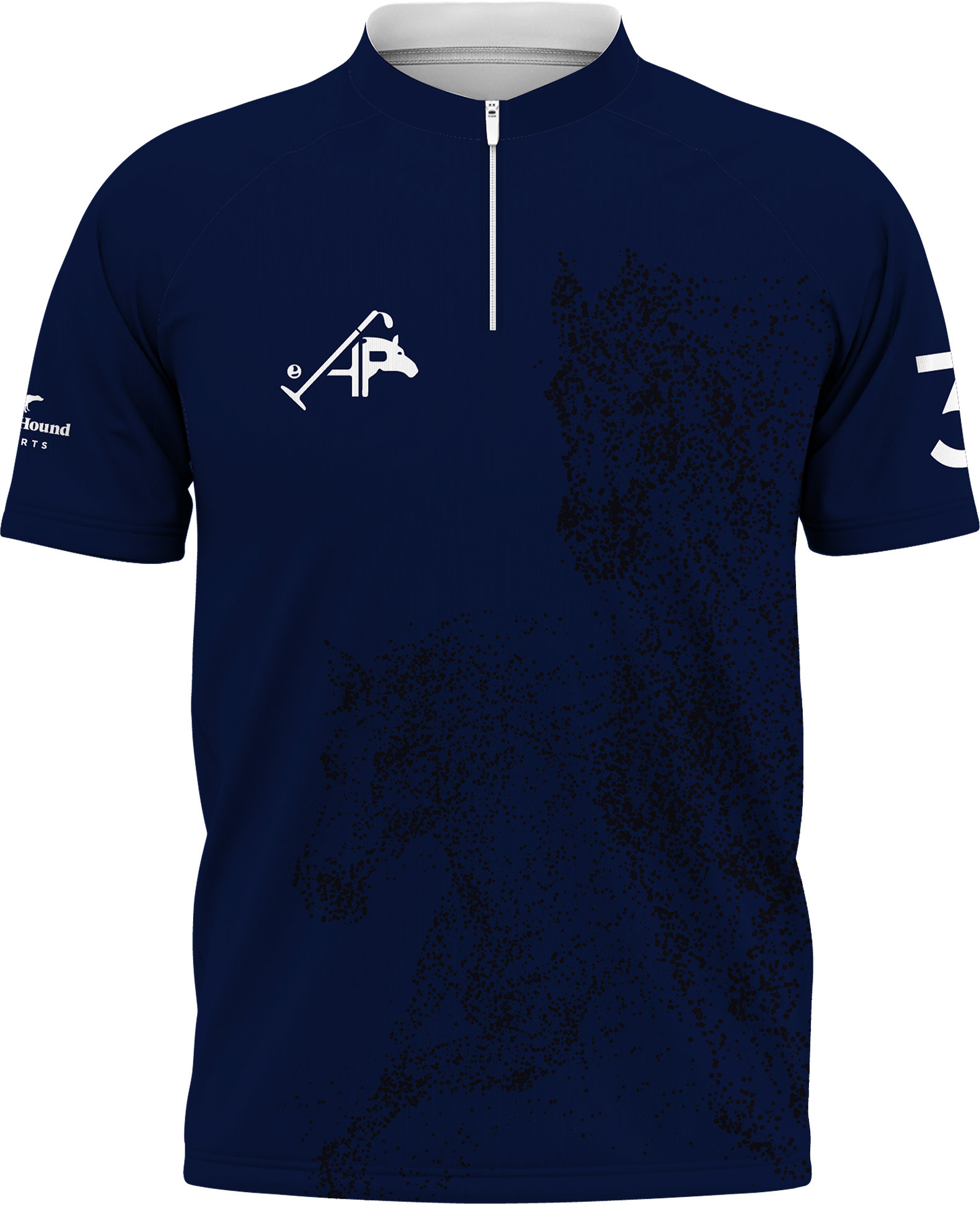 Aravali Polo Team