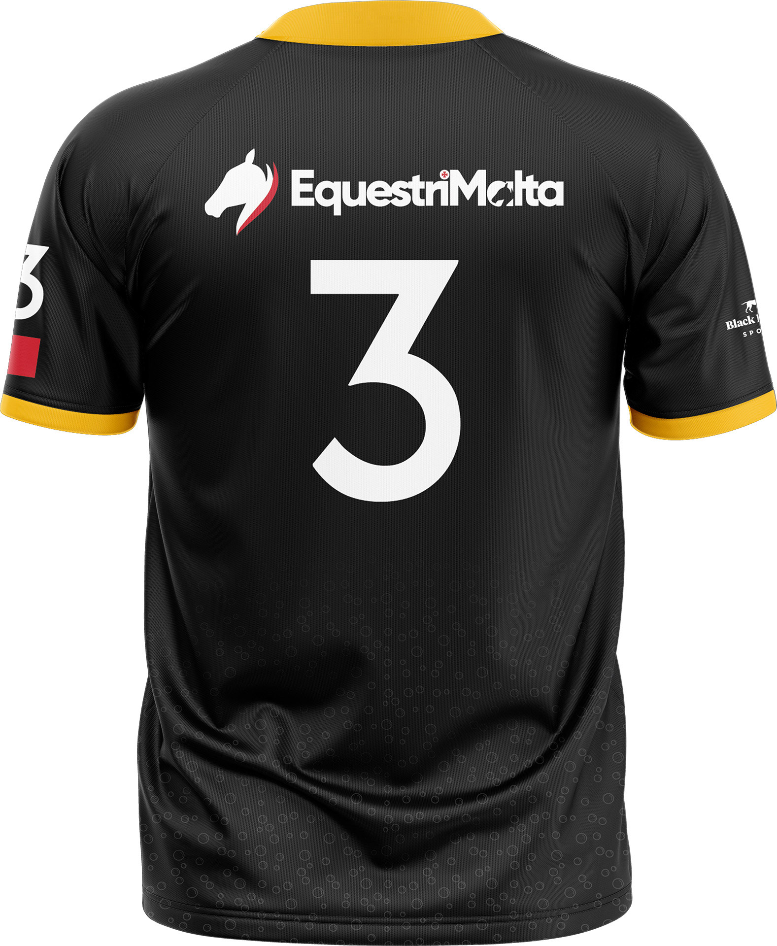 Schweppes Polo Team