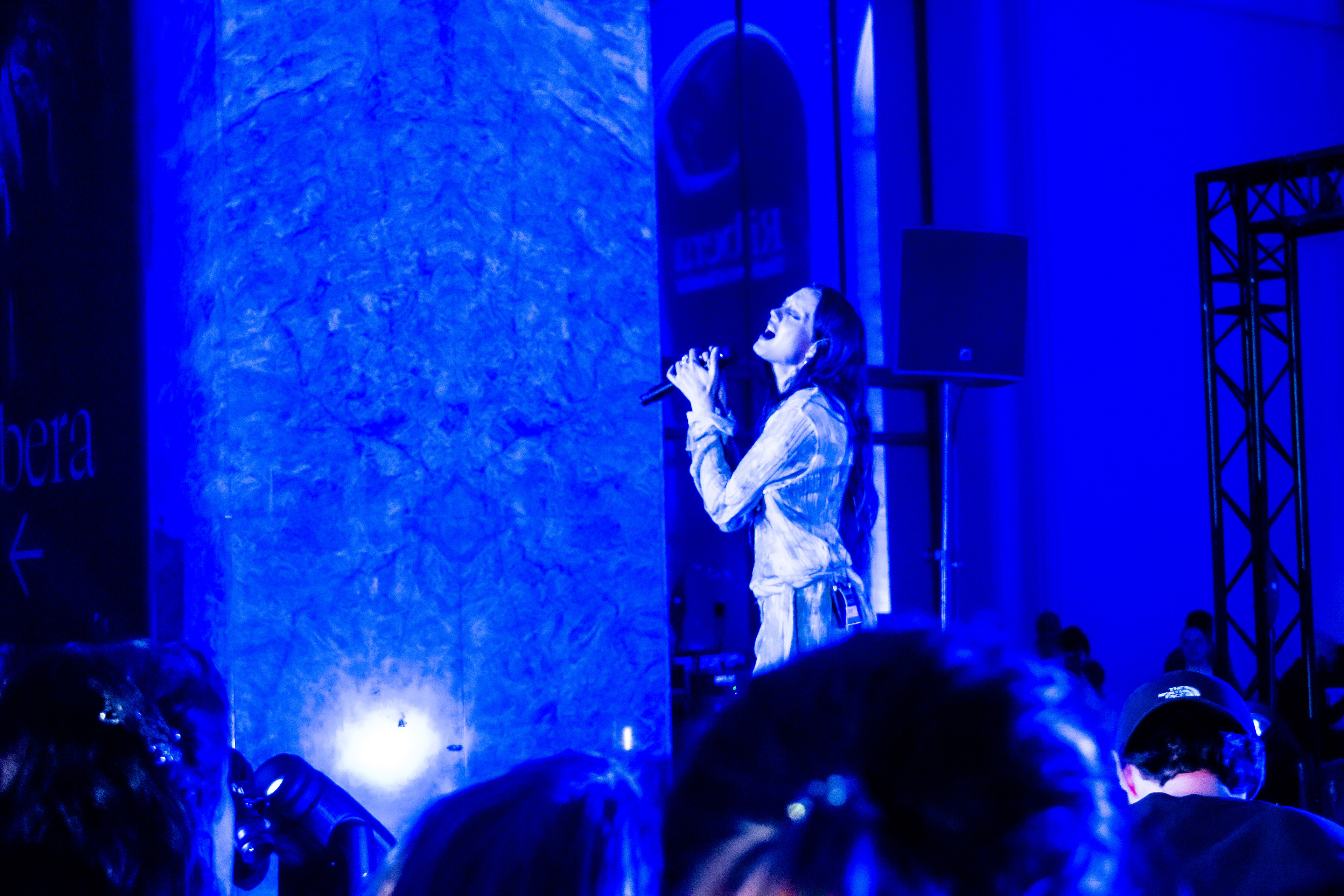 Tessa Dixson au Petit Palais