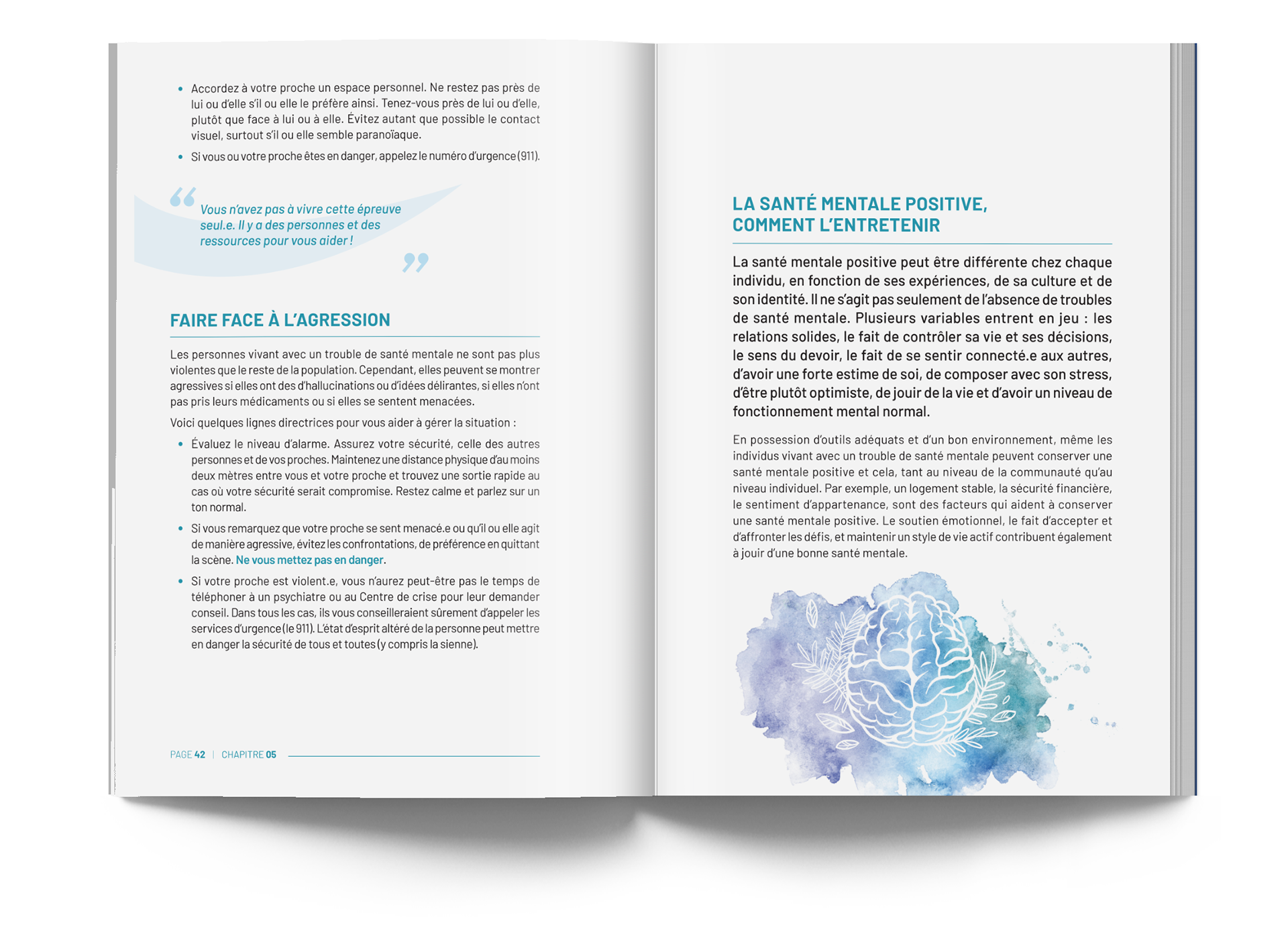 Mise en page et illustrations pour le guide des Amis de la santé mentale