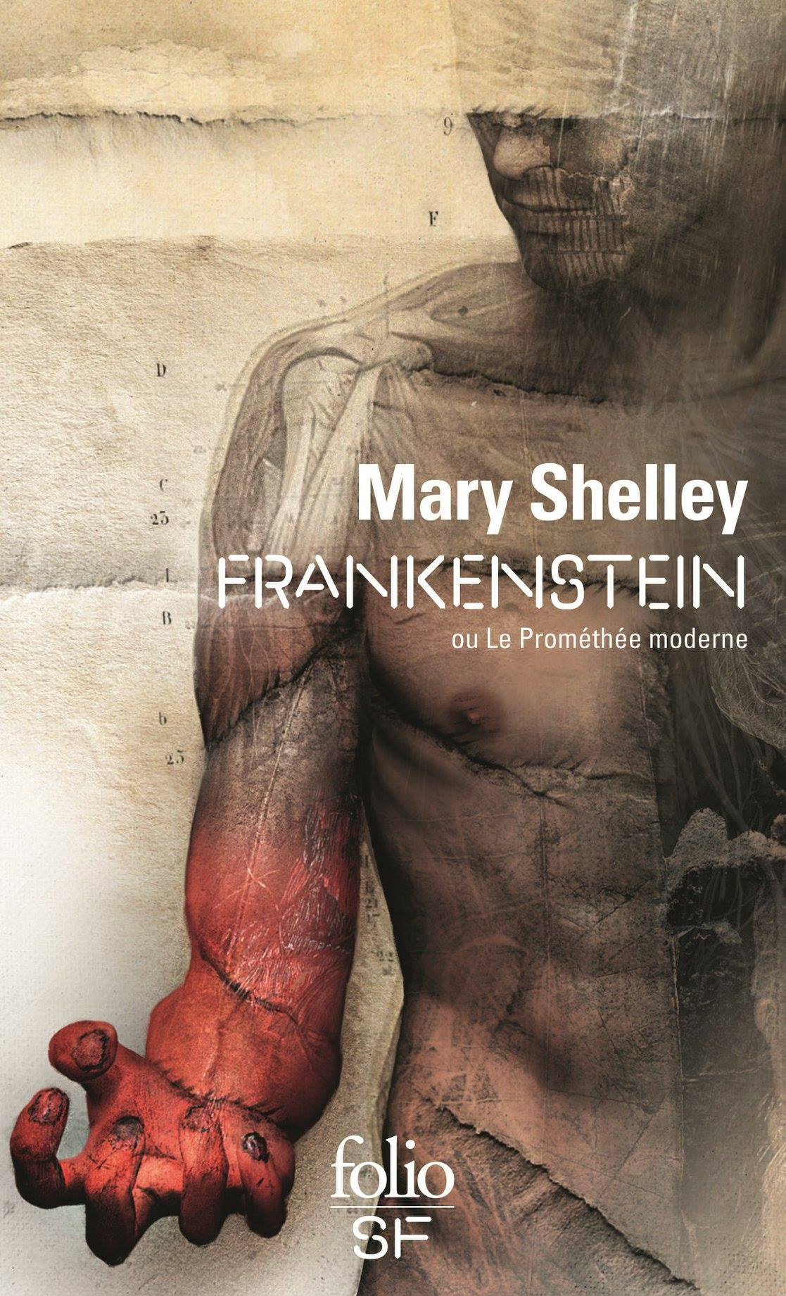 Frankenstein - MAry Shelley - GAllimard Folio SF