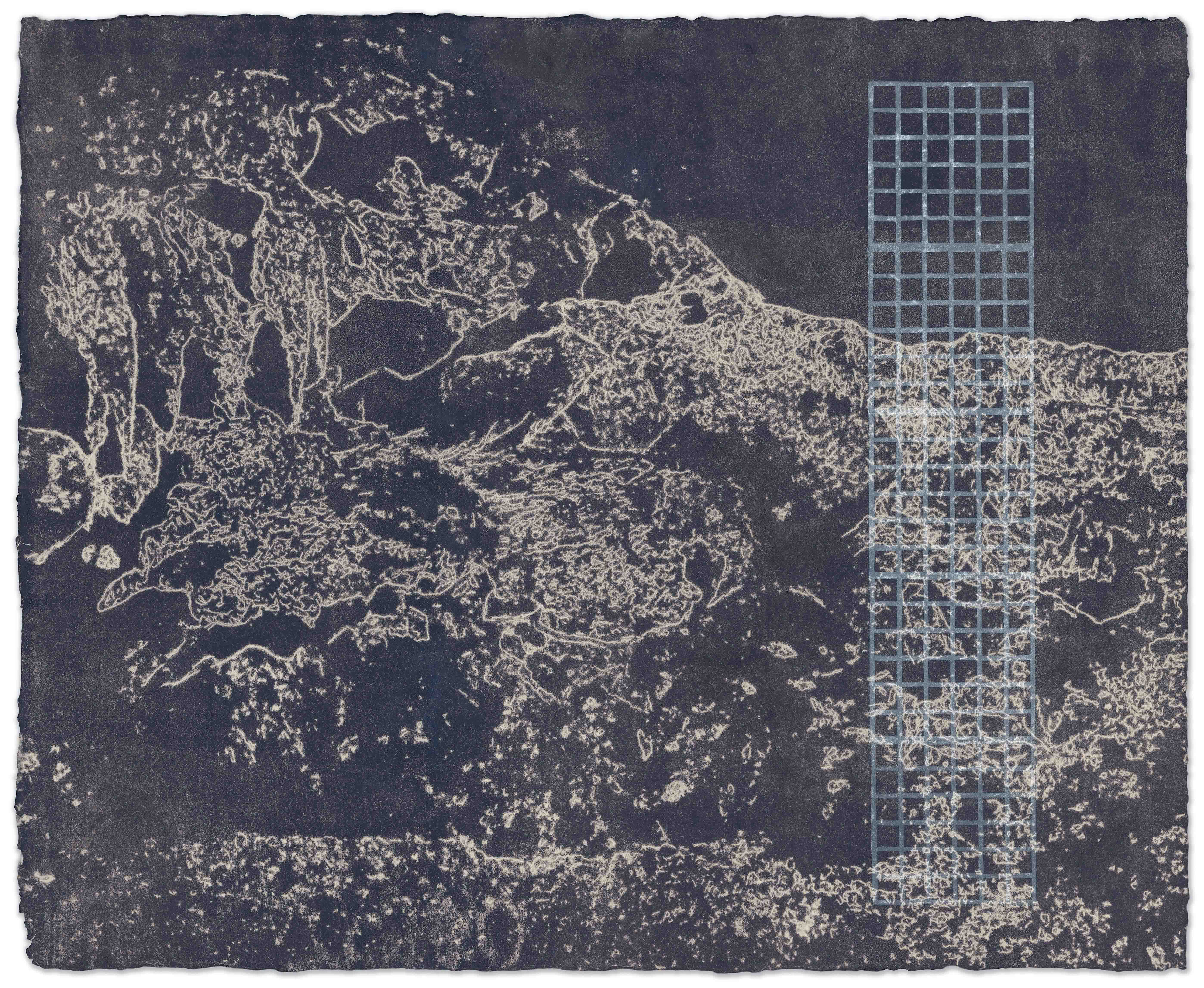 Tread Lightly II,  2025,  Trace monotype and relief on Okawara paper,  20.5 x 17"