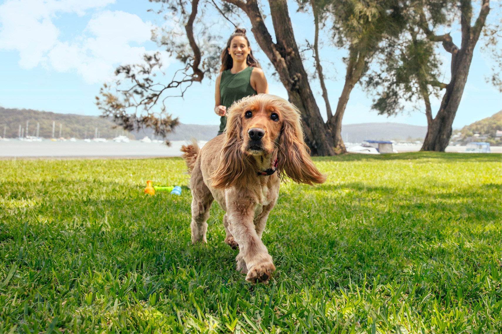 Petbarn