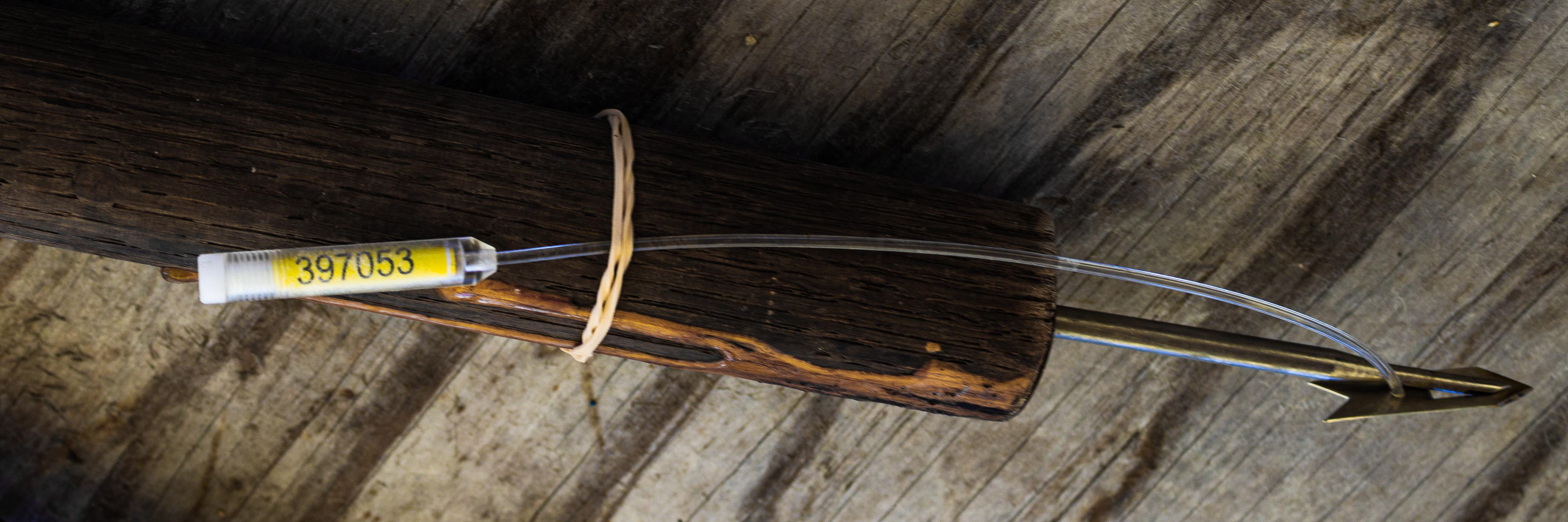 M- Tags used for sharks