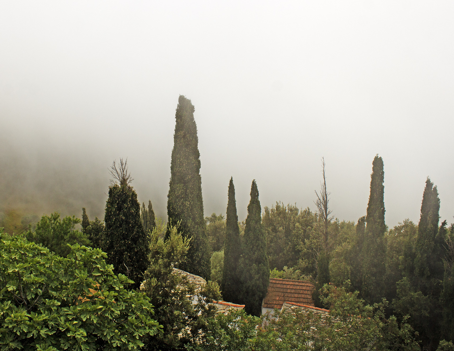 Kelly Page, Skopelos Greece