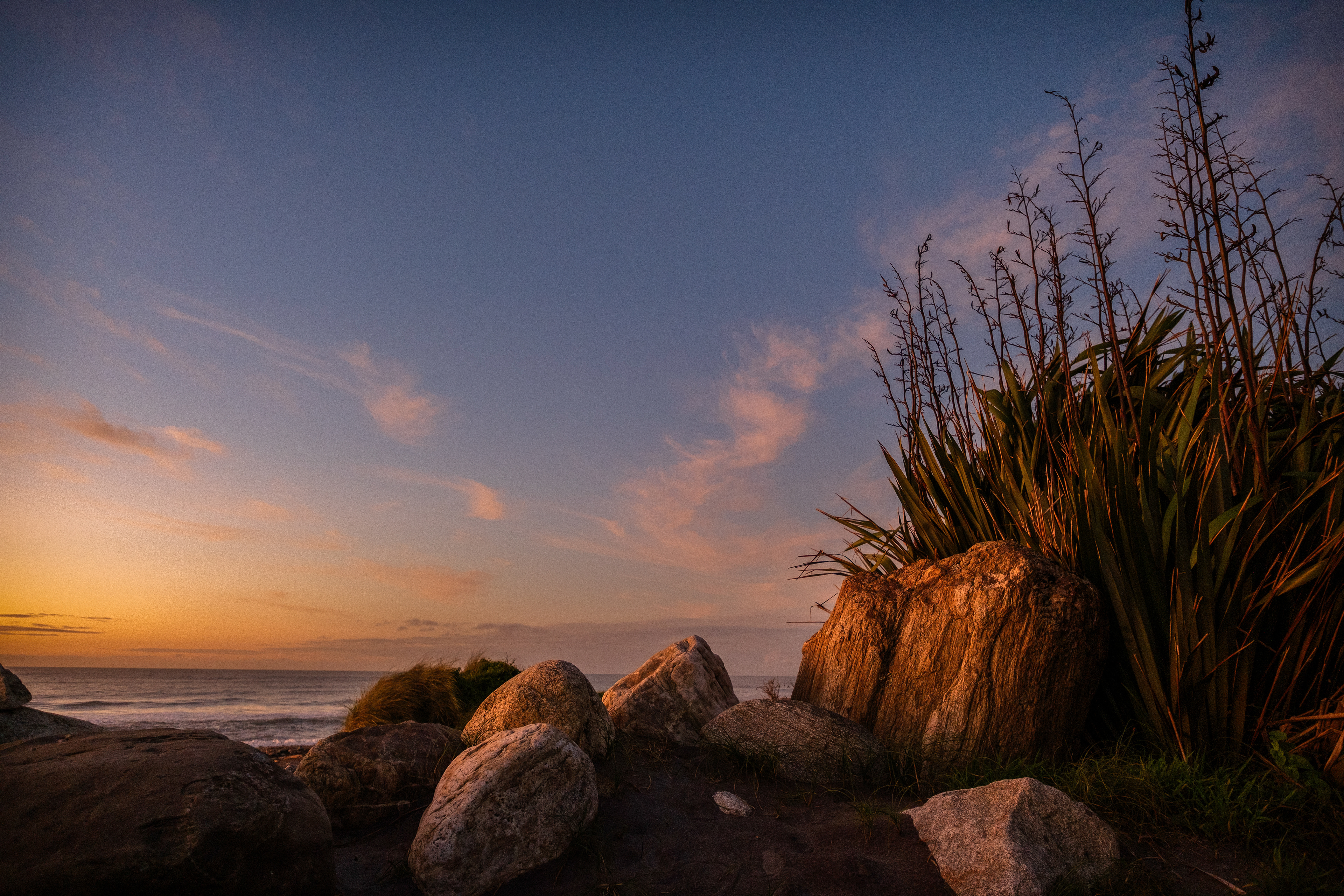 Ross Beach, Haast, Aotearoa New Zealand