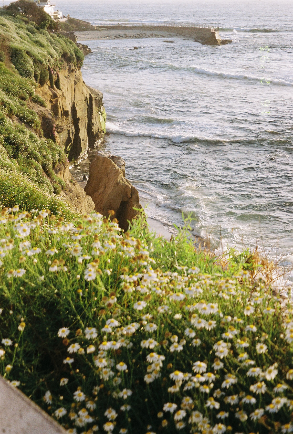 La Jolla, California - May, 2024